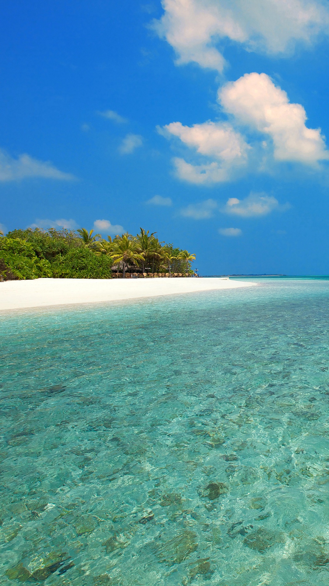 Обои пляж, море, Мальдивы, побережье, прибрежные и океанические рельефы в разрешении 1080x1920