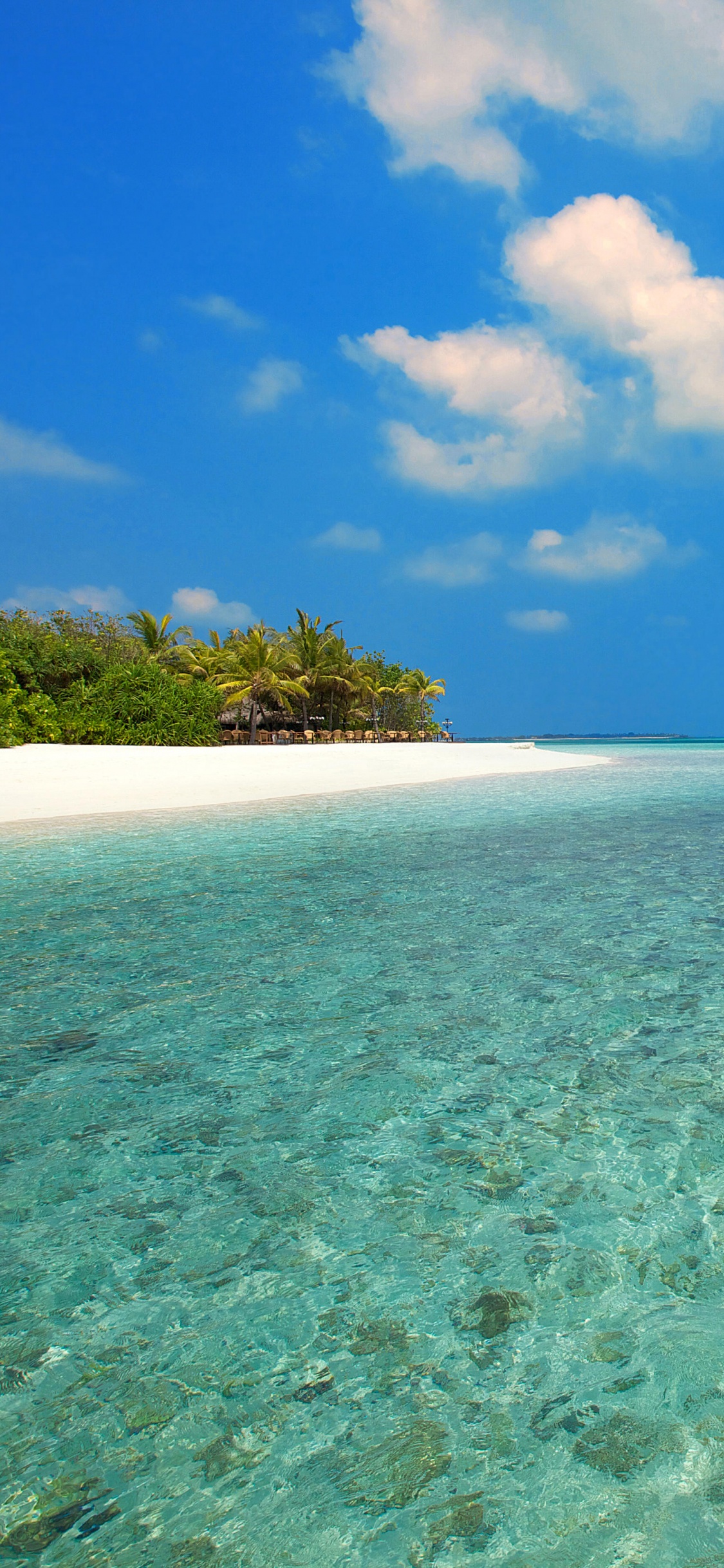 Обои пляж, море, Мальдивы, побережье, прибрежные и океанические рельефы в разрешении 1125x2436