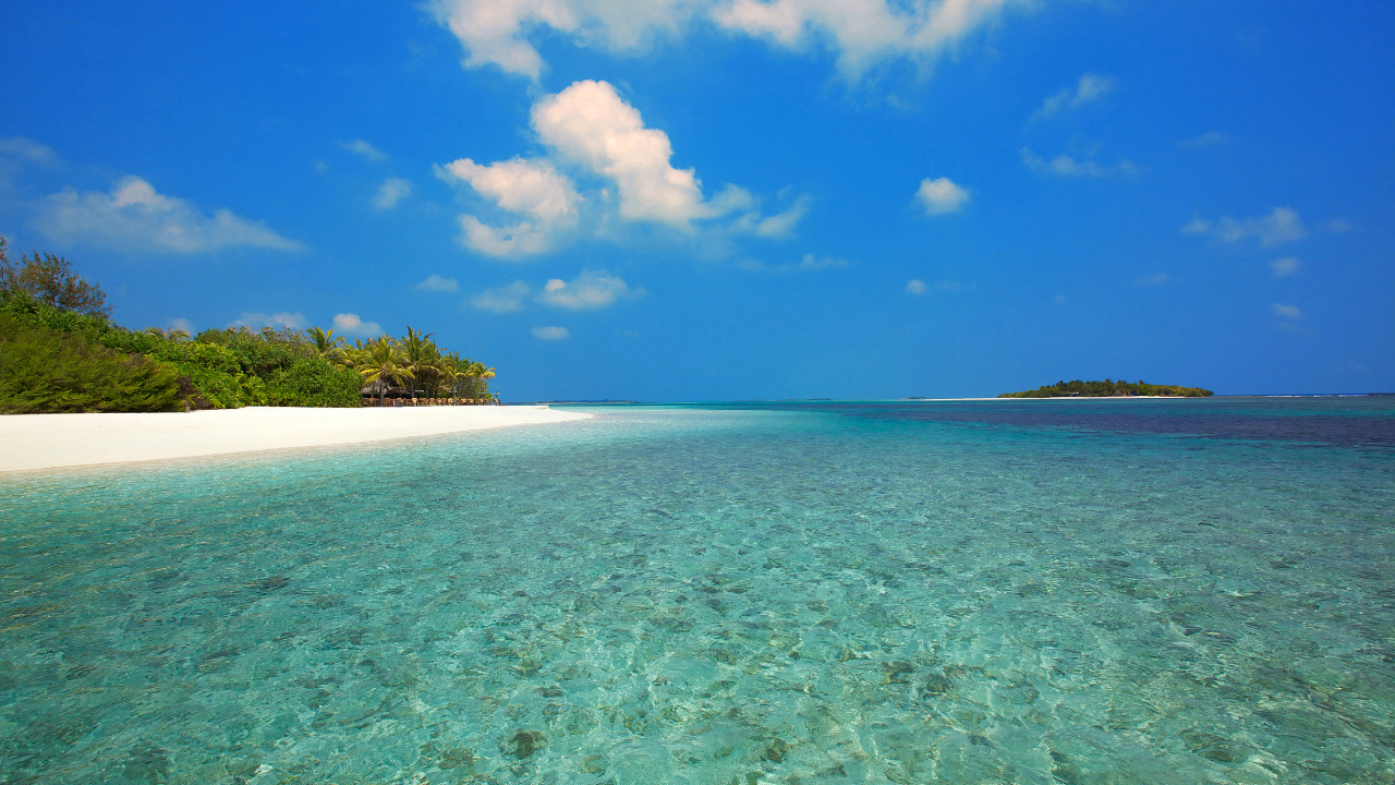 Обои пляж, море, Мальдивы, побережье, прибрежные и океанические рельефы в разрешении 1280x720