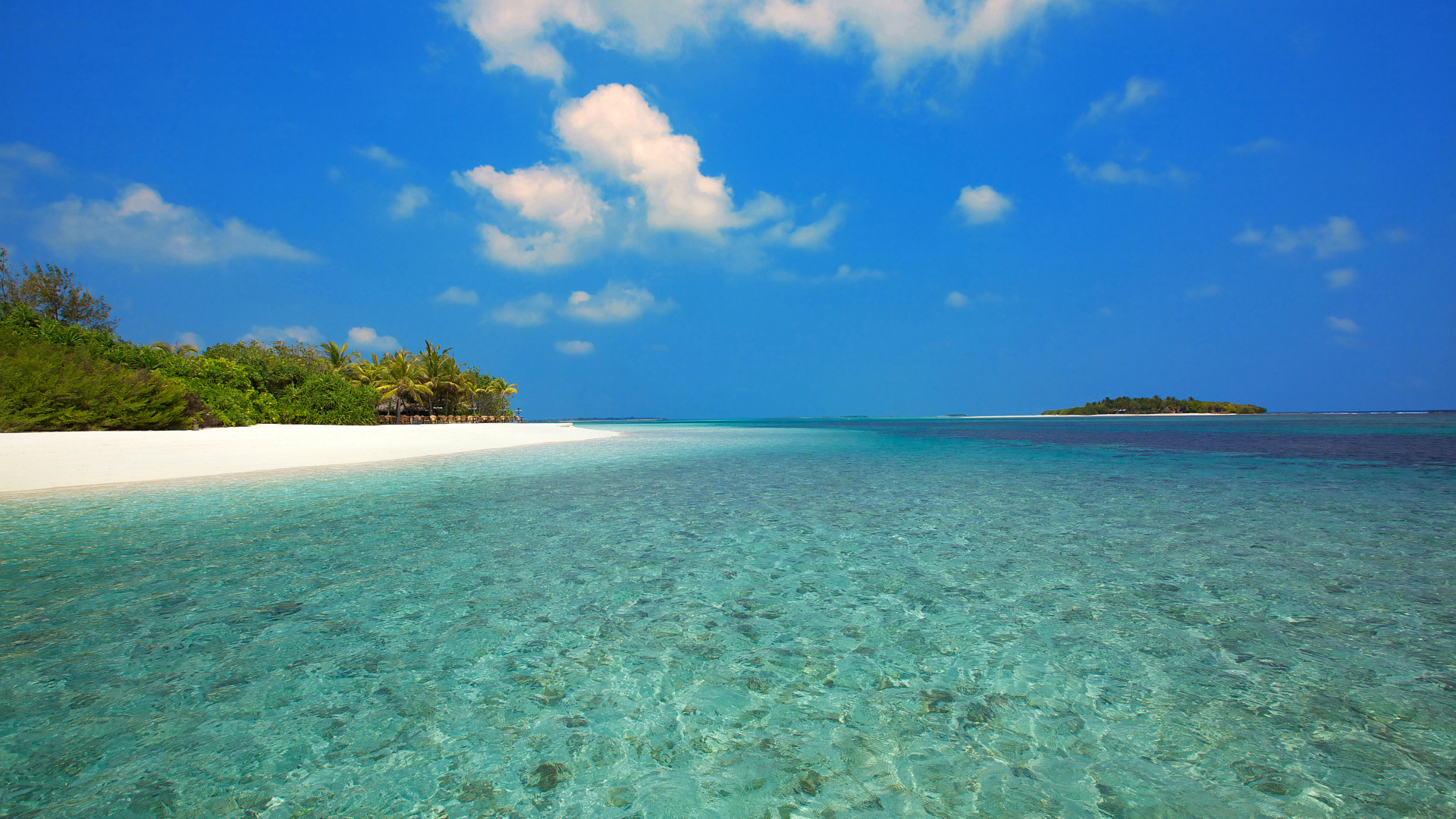 Обои пляж, море, Мальдивы, побережье, прибрежные и океанические рельефы в разрешении 1920x1080