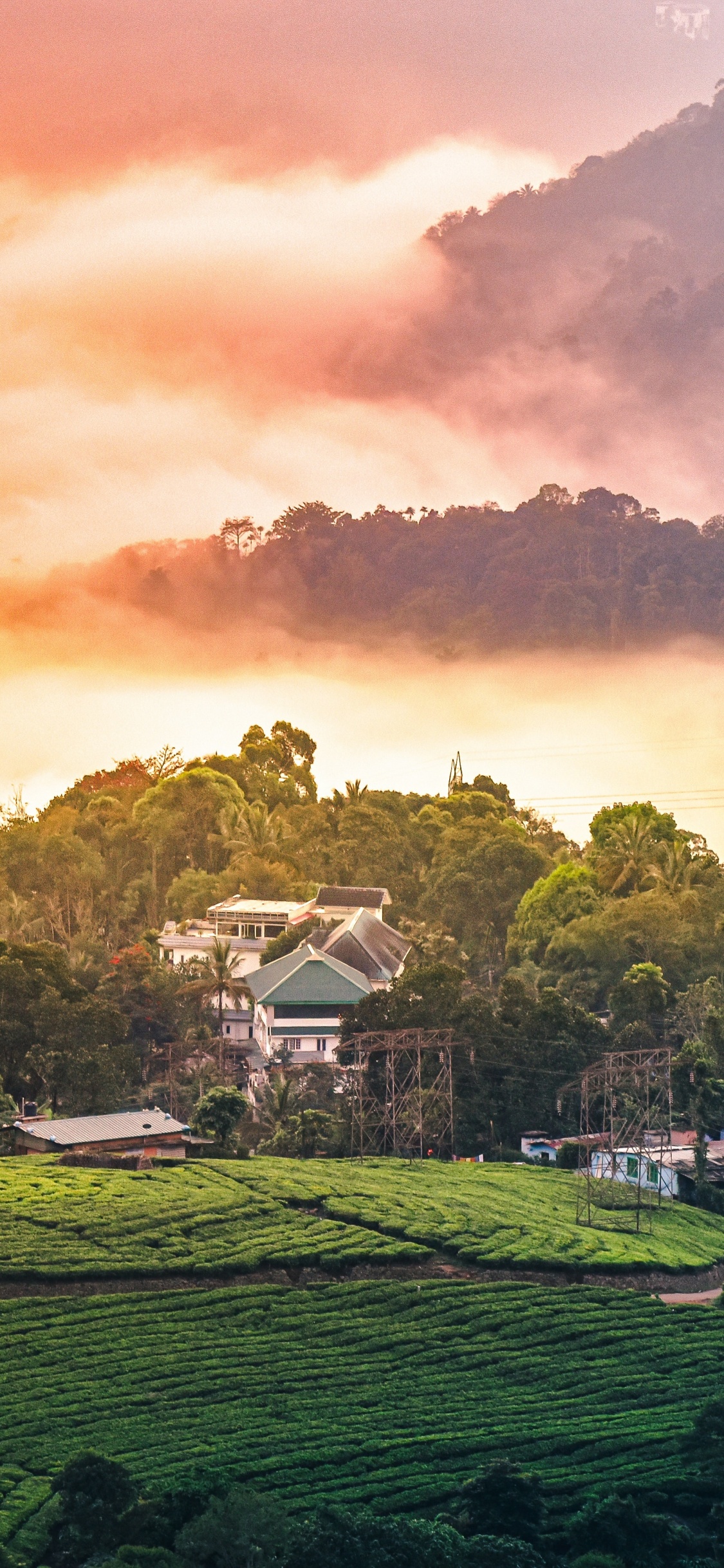 Обои природа, пейзажи гор, муннар, горная станция, сельский район в разрешении 1125x2436