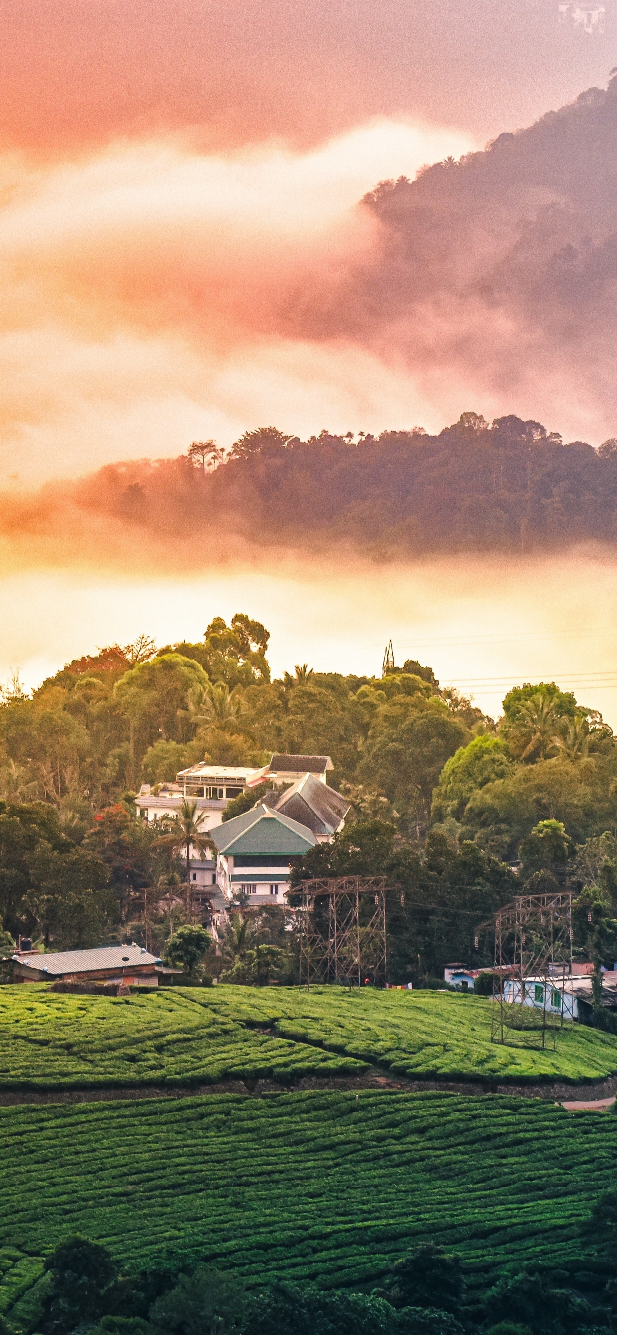 Обои природа, пейзажи гор, муннар, горная станция, сельский район в разрешении 1242x2688