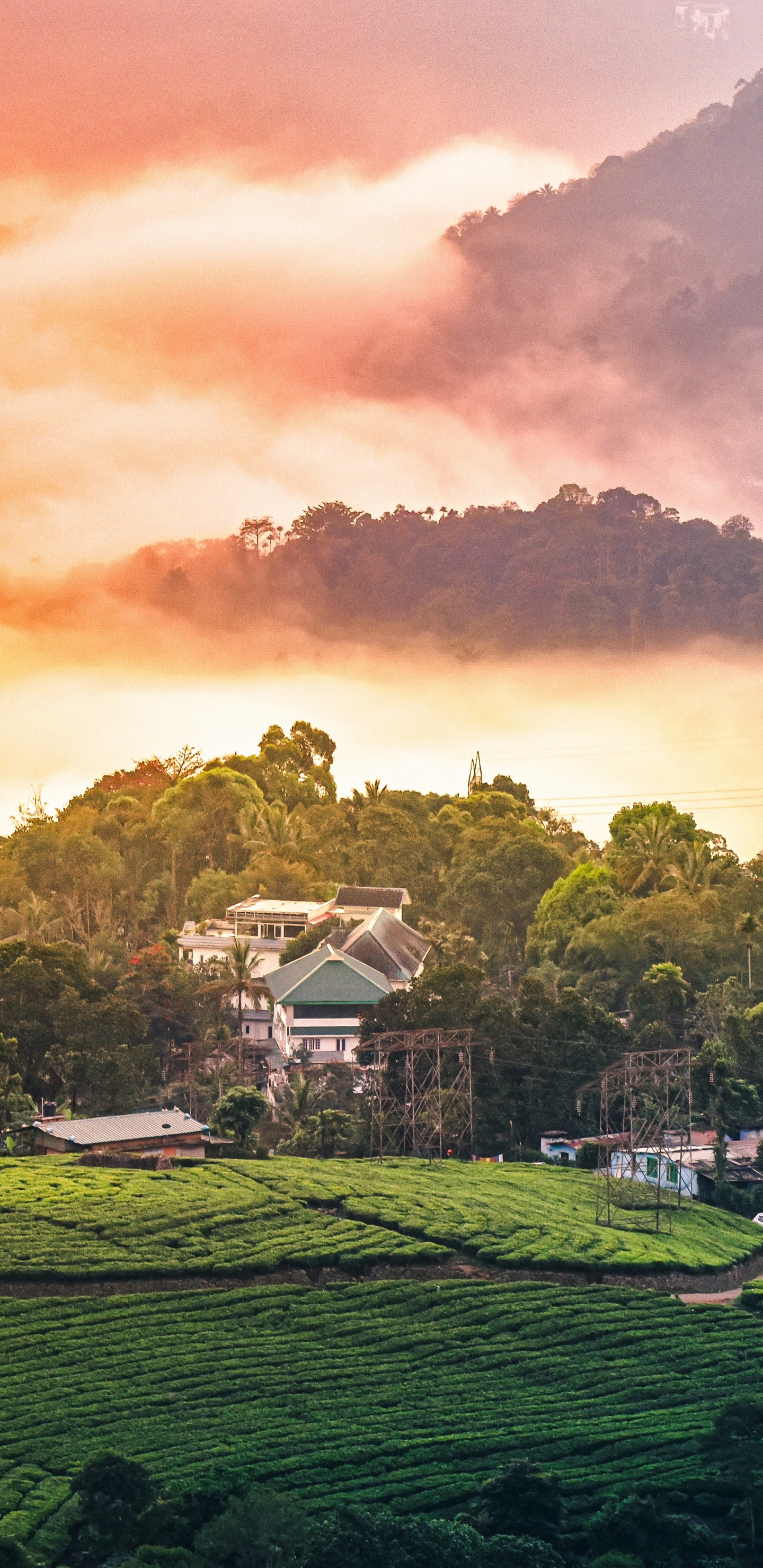 Обои природа, пейзажи гор, муннар, горная станция, сельский район в разрешении 1440x2960