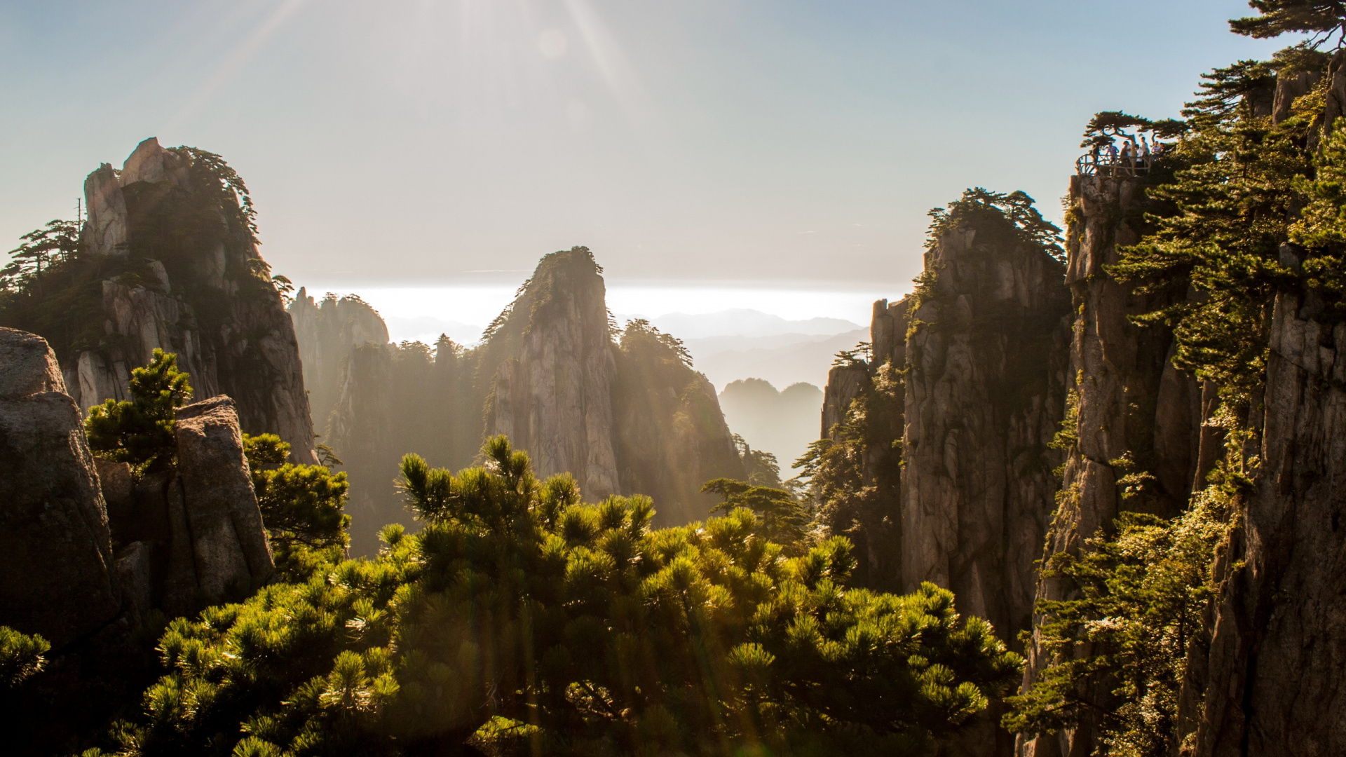 Обои Вопрос-Ли, природа, растительность, рок, дикая местность в разрешении 1920x1080
