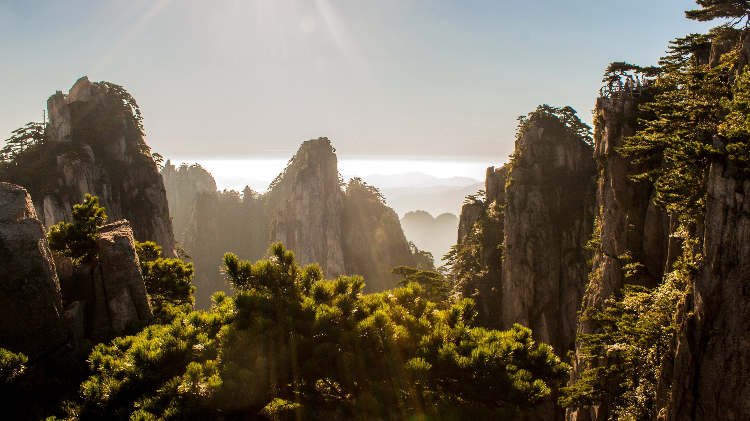 Обои Вопрос-Ли, природа, растительность, рок, дикая местность в разрешении 2560x1440