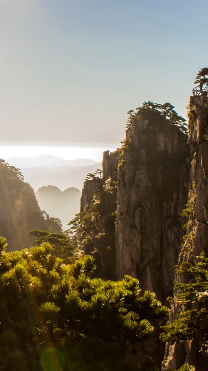 Обои Вопрос-Ли, природа, растительность, рок, дикая местность в разрешении 720x1280