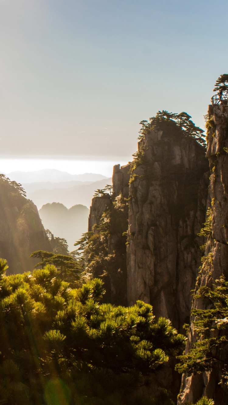 Обои Вопрос-Ли, природа, растительность, рок, дикая местность в разрешении 750x1334
