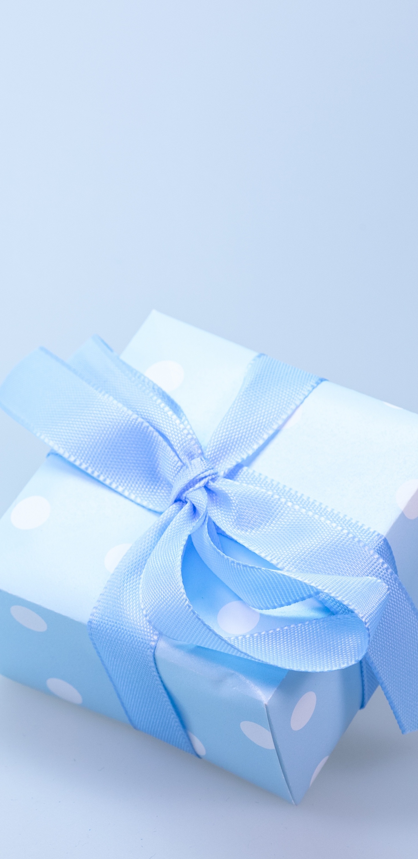 Обои подарок синий, подарок, дата рождения, синий, лента в разрешении 1440x2960