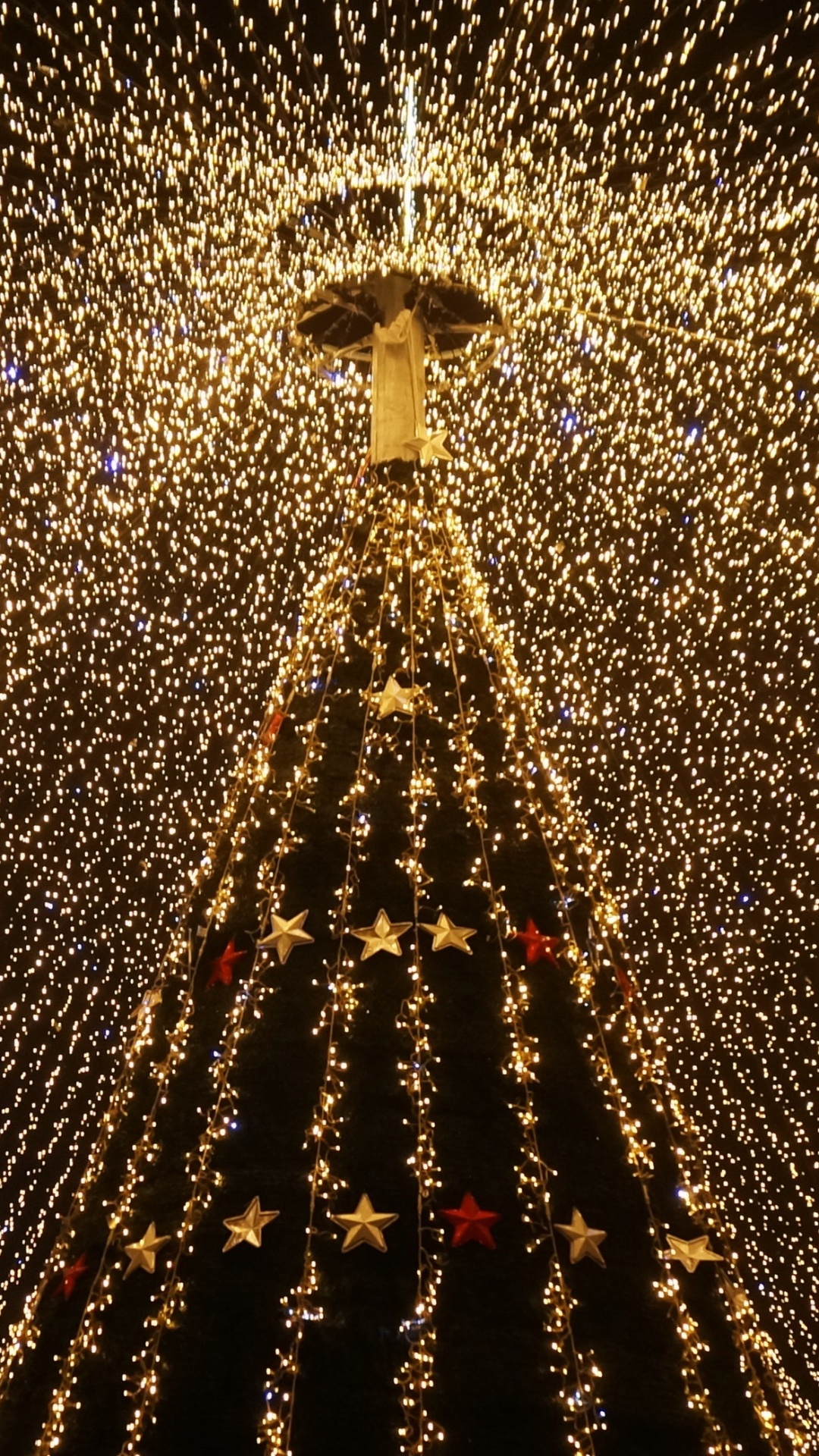 Обои Рождественские огни, Рождественский день, свет, освещение, вода в разрешении 1080x1920