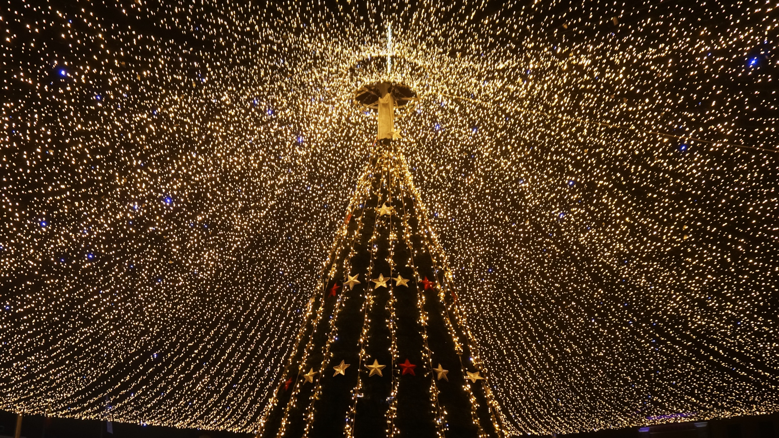 Обои Рождественские огни, Рождественский день, свет, освещение, вода в разрешении 2560x1440