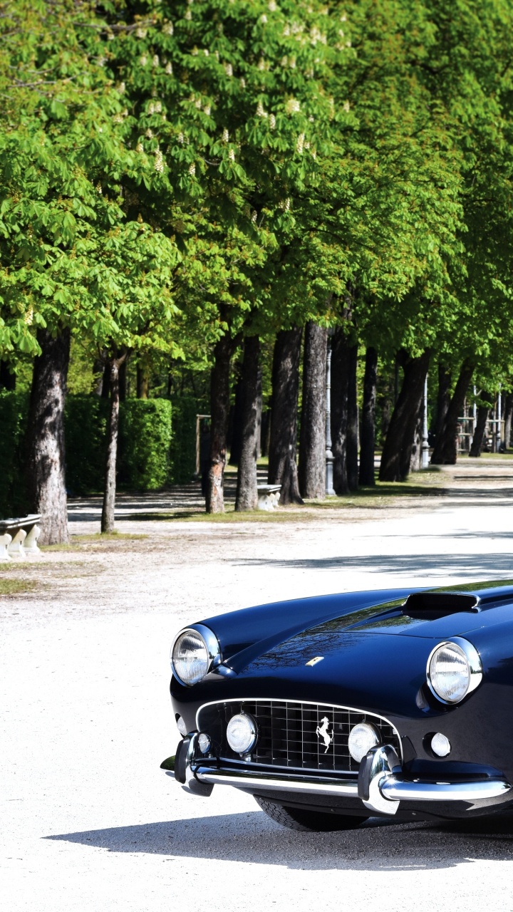 Обои Феррари Калифорния, Феррари 250 ГТО, Феррари 250 ГТ луссо, классический автомобиль, Кабриолет в разрешении 720x1280