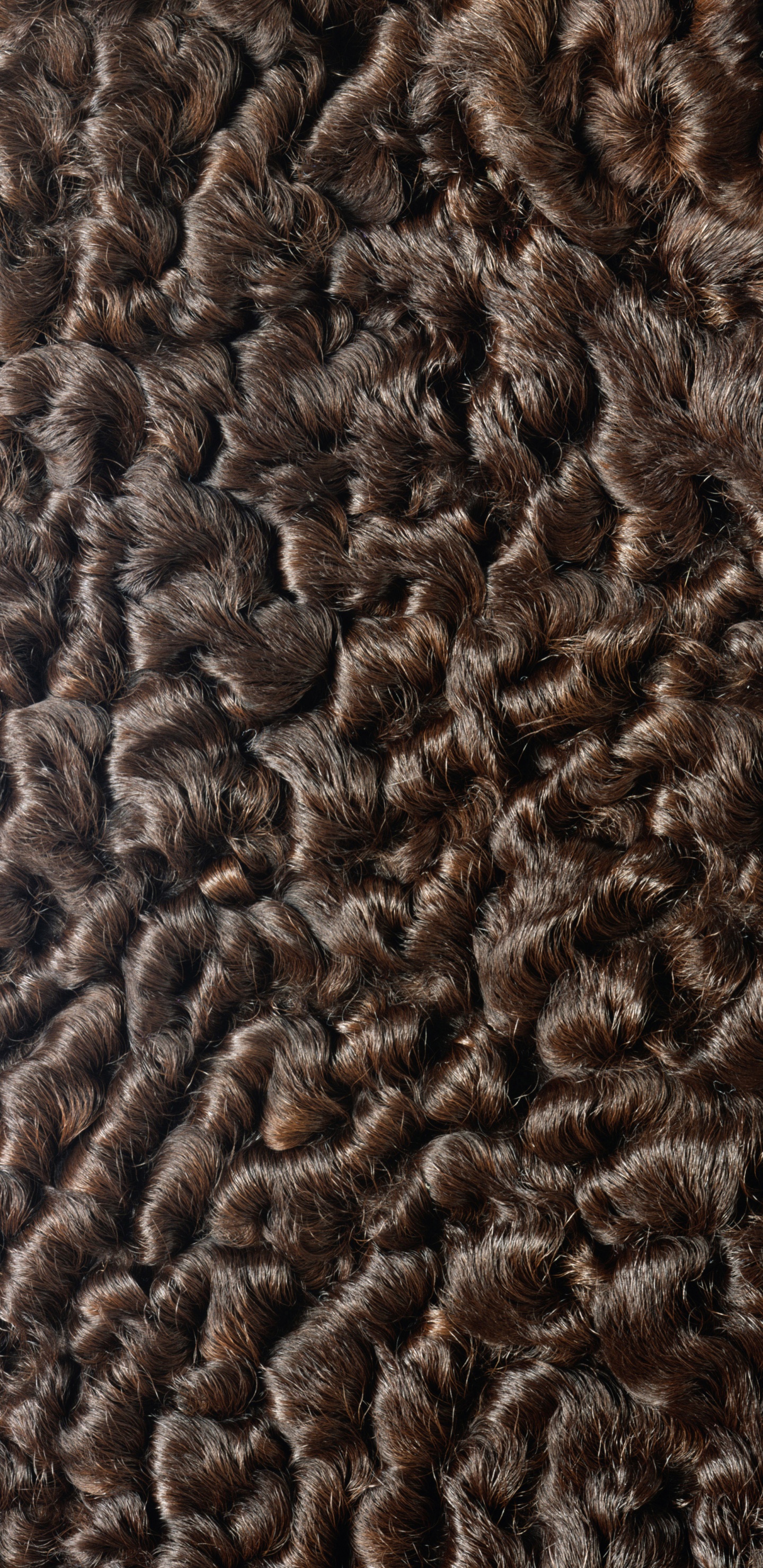 Обои мех, текстура, fototapet, каракульская овца в разрешении 1440x2960