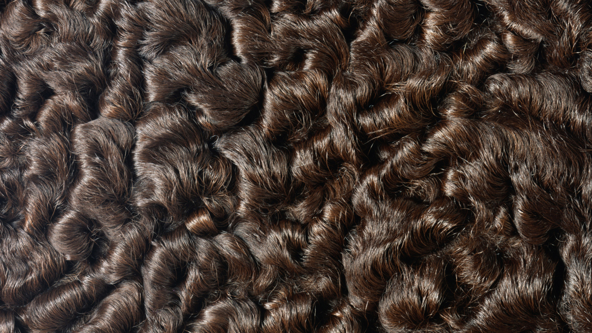 Обои мех, текстура, fototapet, каракульская овца в разрешении 1920x1080