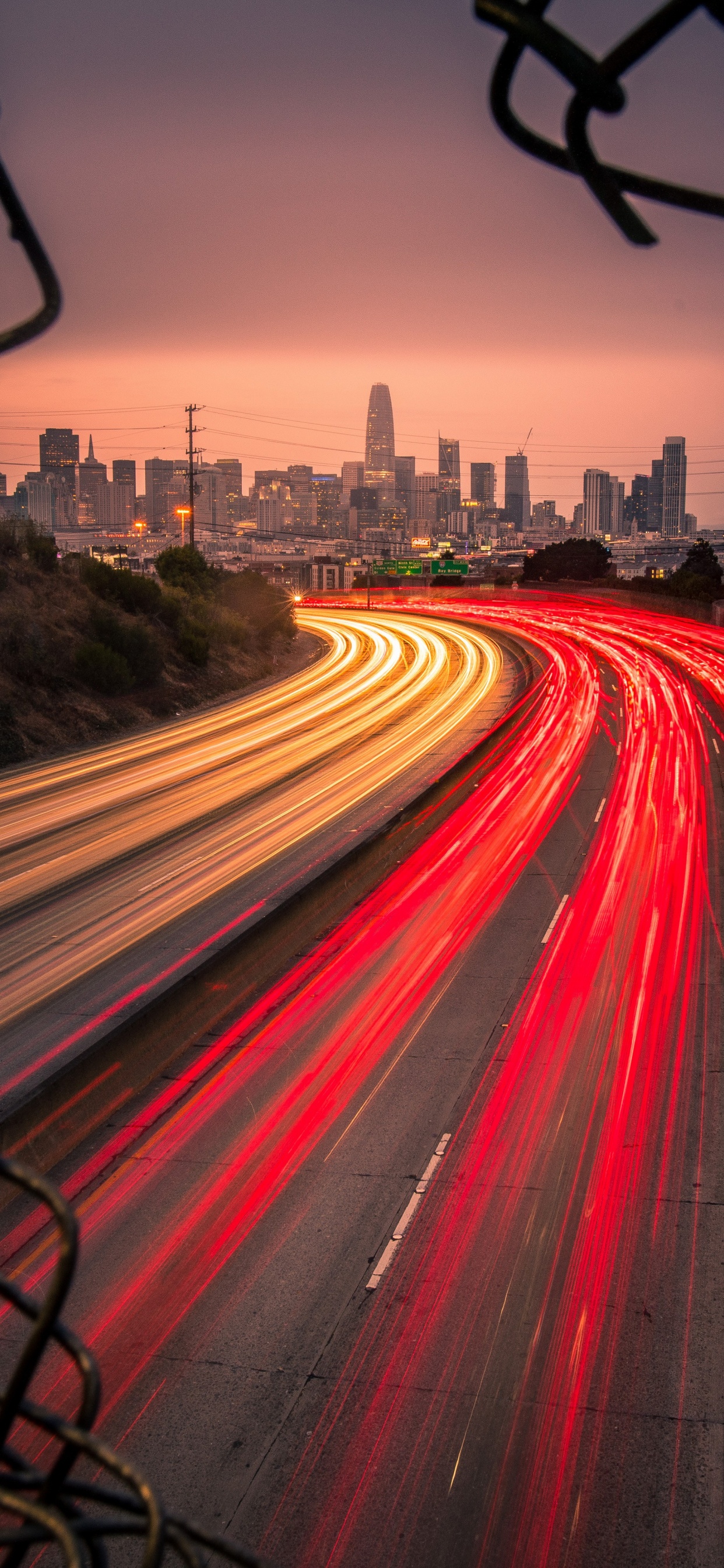 Обои свет, растение, здание, вышка, облако в разрешении 1242x2688