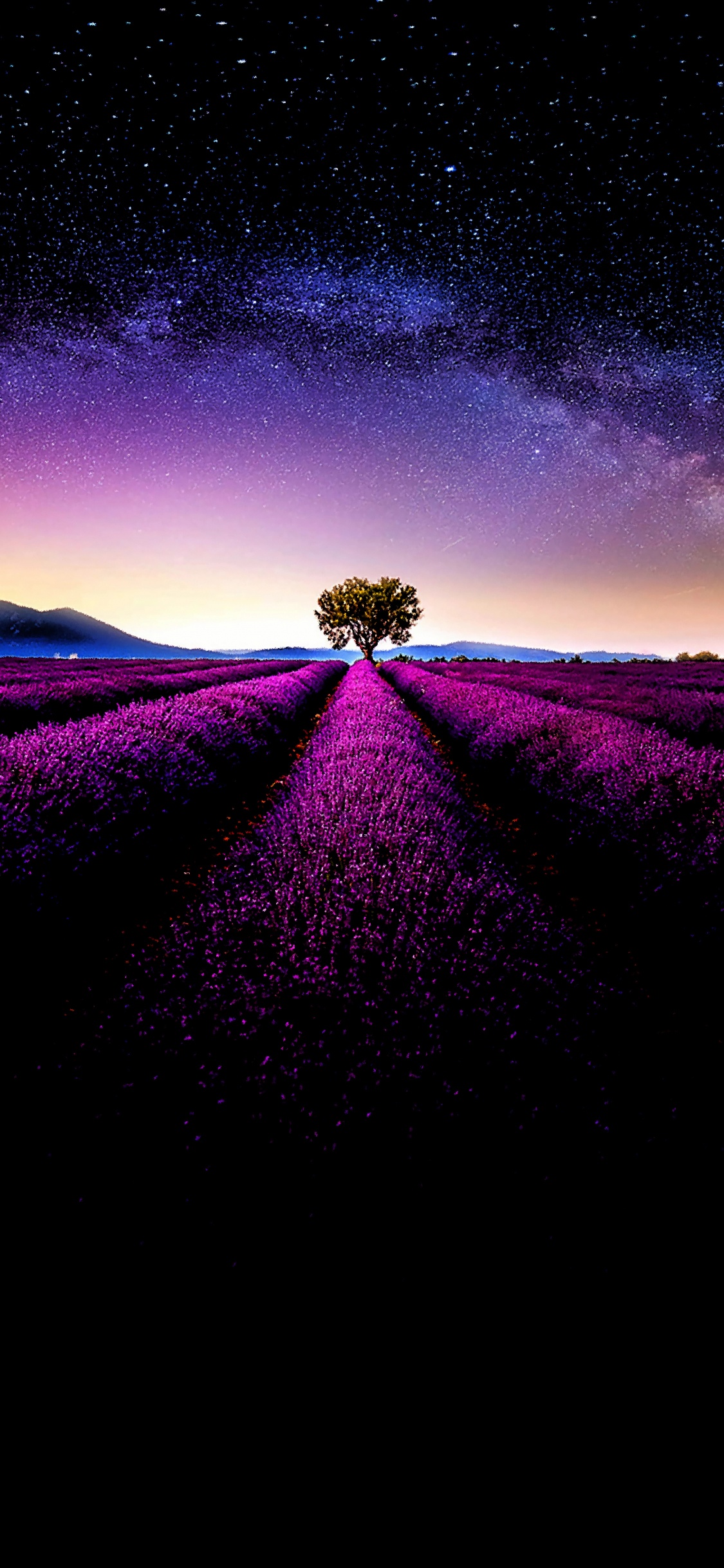 Обои растение, пурпур, окружающая среда, природный ландшафт, дерево в разрешении 1125x2436