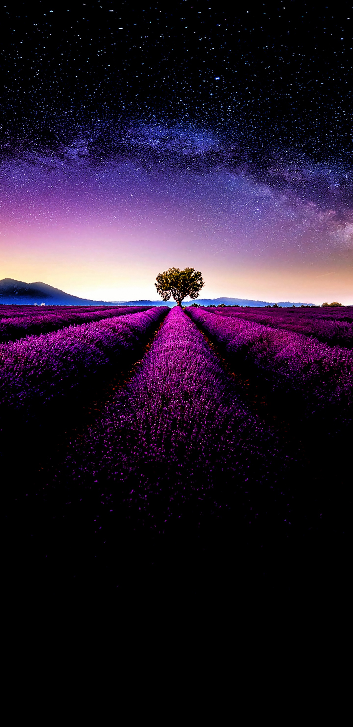 Обои растение, пурпур, окружающая среда, природный ландшафт, дерево в разрешении 1440x2960