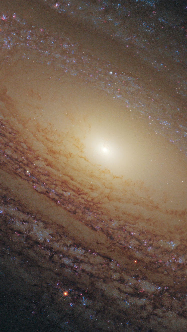 Обои галактика ngc 2841, Или NGC 2841, Галактика, спиральная Галактика, Хлопьевидный спиральная Галактика в разрешении 750x1334