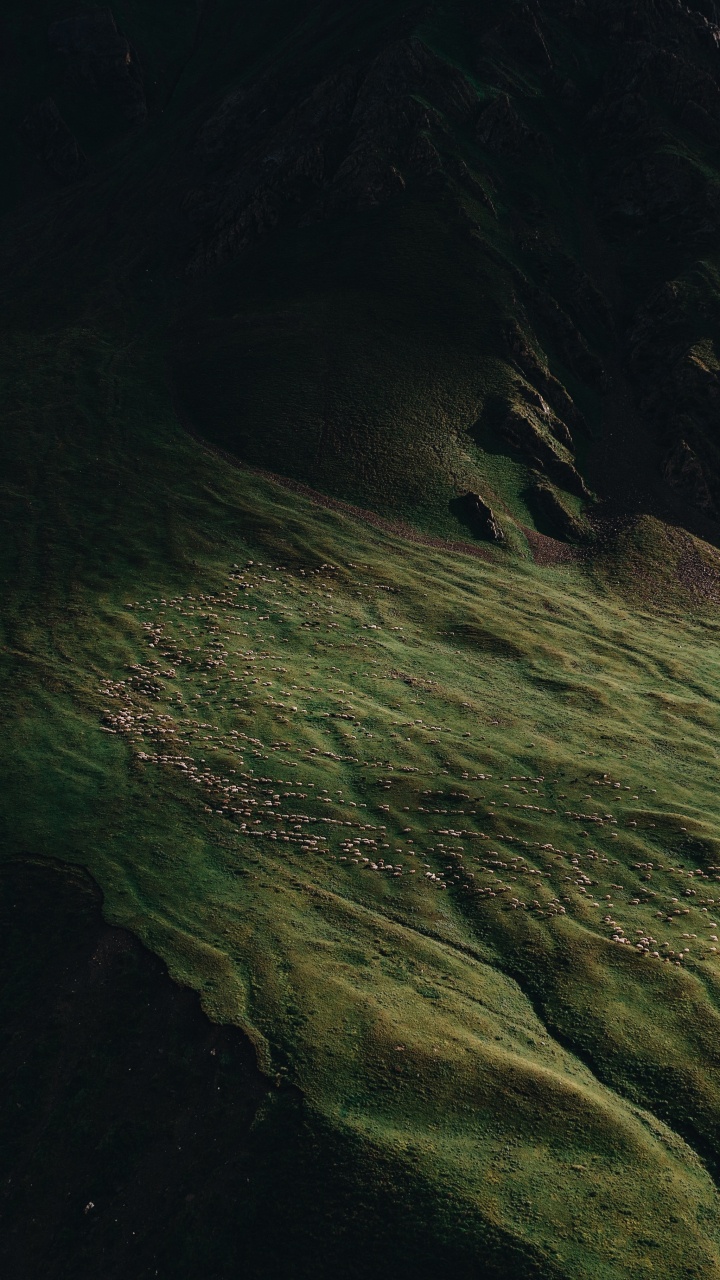 Обои природа, земля, вода, древесина, полутона и оттенки в разрешении 720x1280