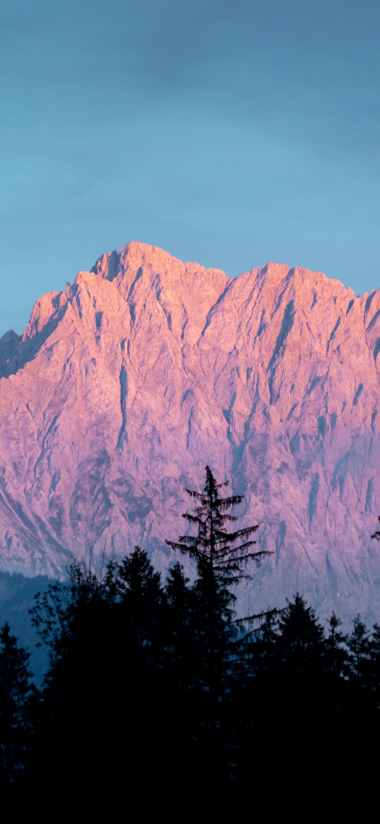 Обои гора, растение, дерево, лиственница, природный ландшафт в разрешении 1242x2688