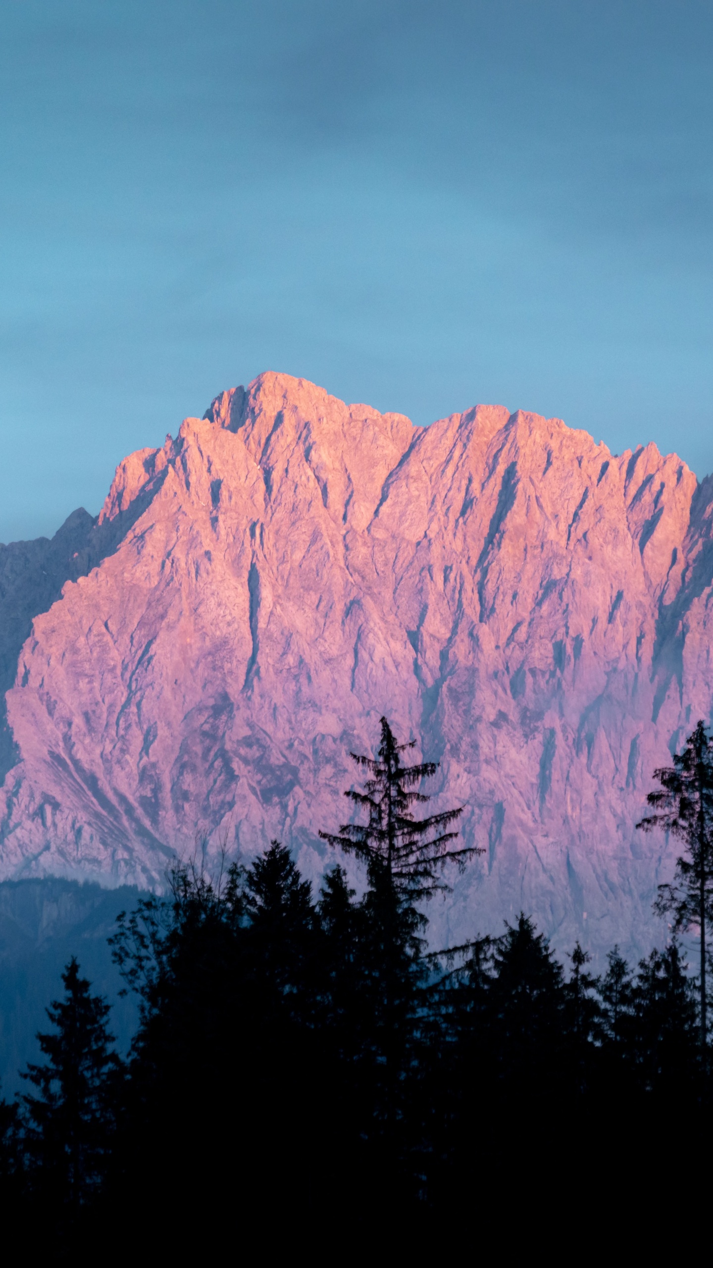 Обои гора, растение, дерево, лиственница, природный ландшафт в разрешении 1440x2560
