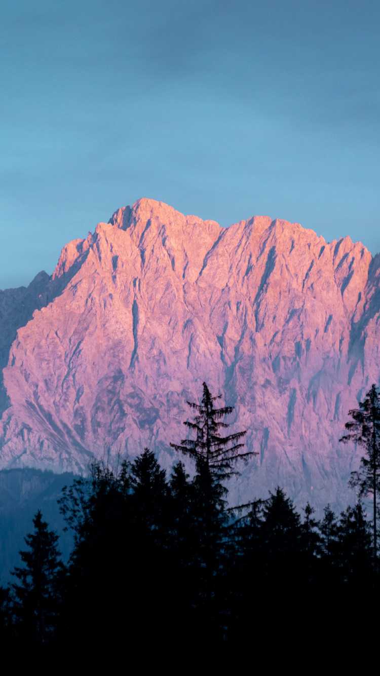 Обои гора, растение, дерево, лиственница, природный ландшафт в разрешении 750x1334