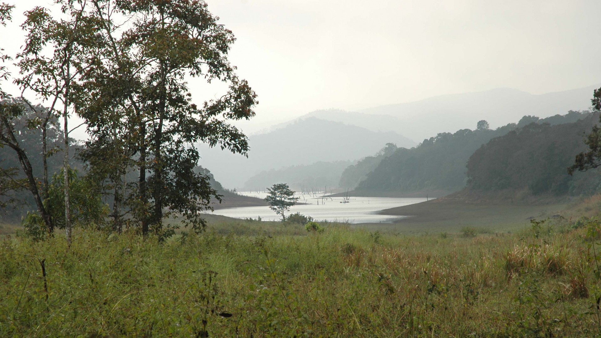 Обои Национальный Парк Перияр, теккади, охраняемый район, национальный парк, парк в разрешении 1920x1080