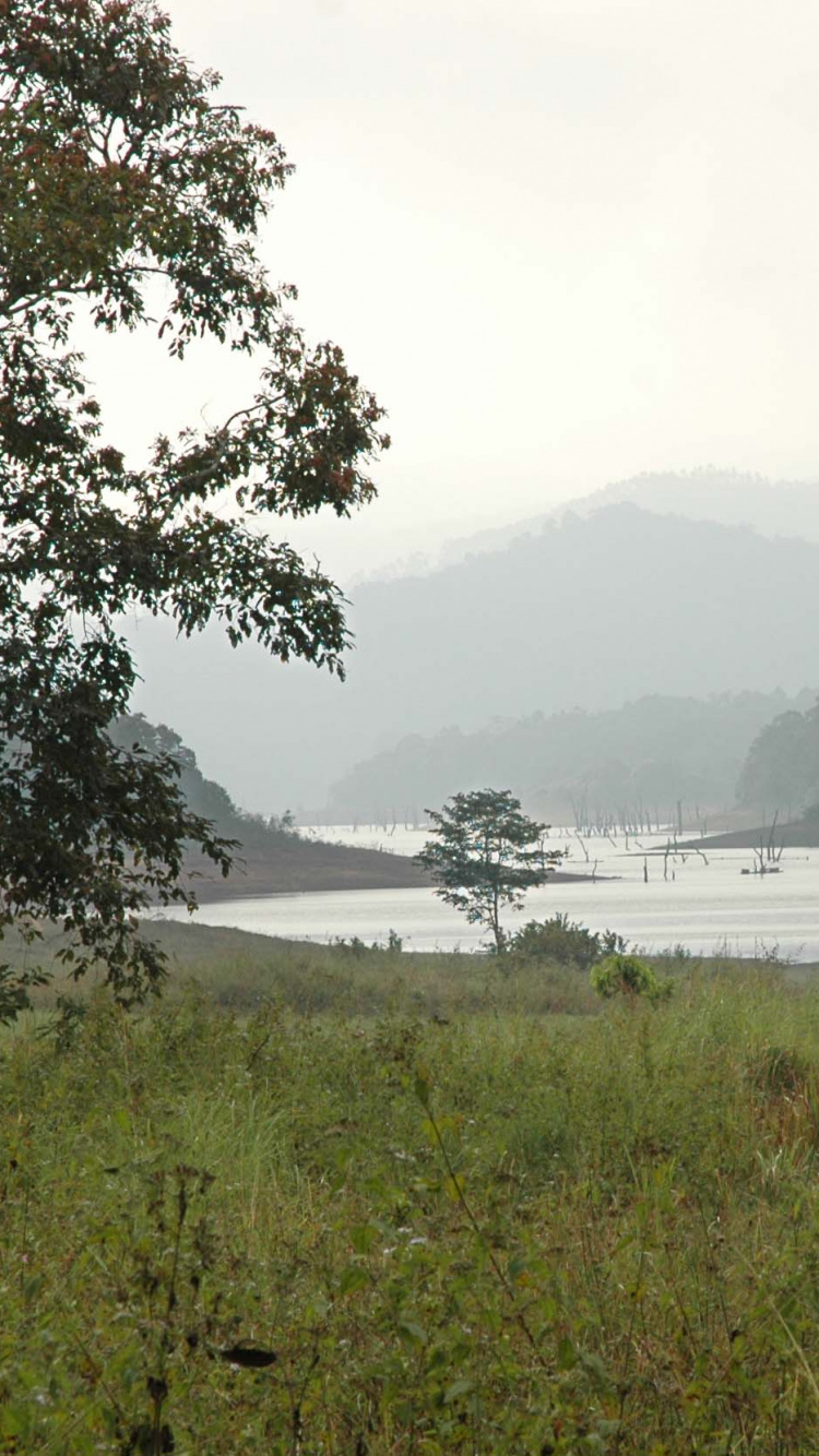 Обои Национальный Парк Перияр, теккади, охраняемый район, национальный парк, парк в разрешении 750x1334