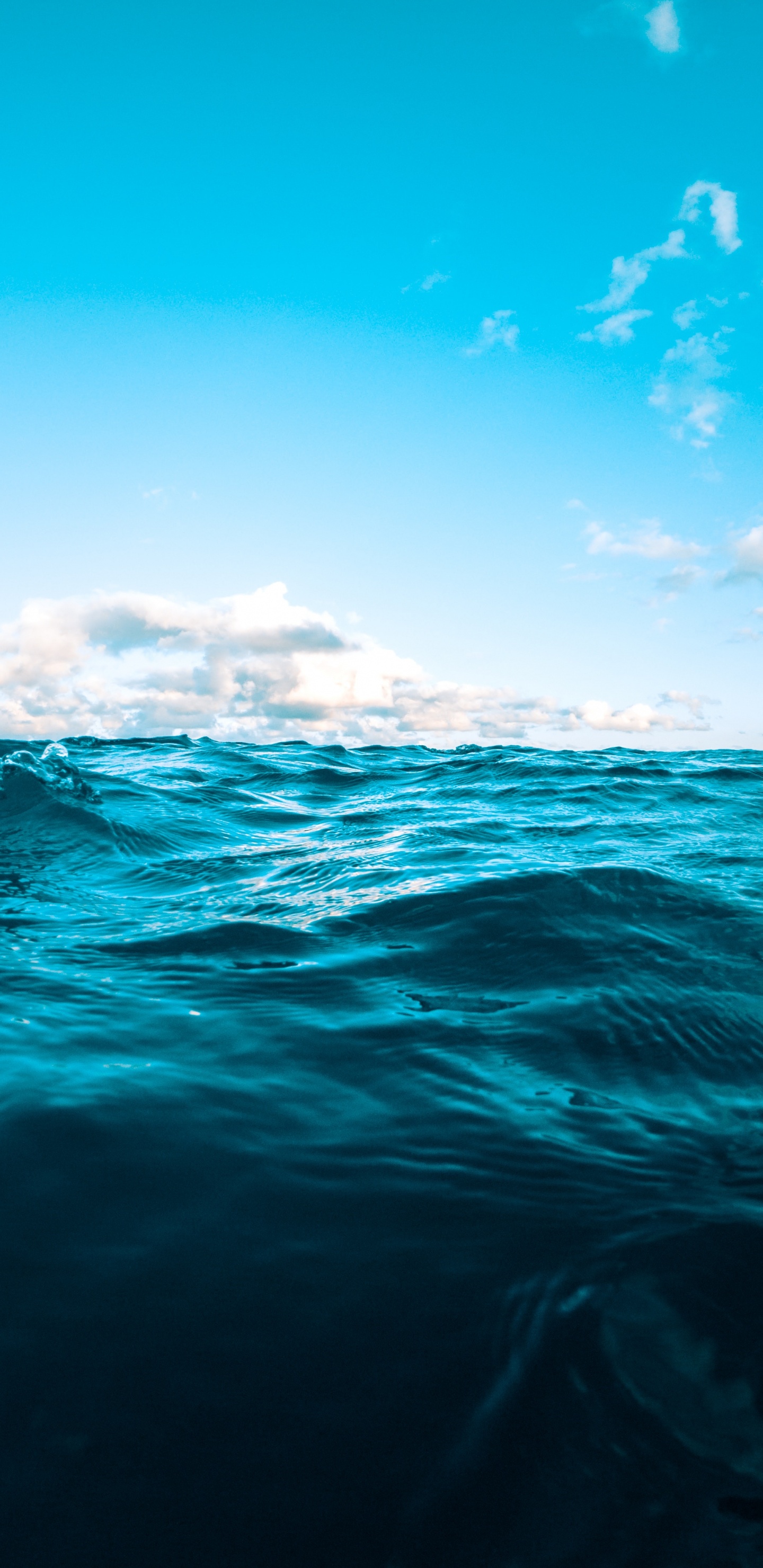 Обои синий, вода, океан, море, горизонт в разрешении 1440x2960