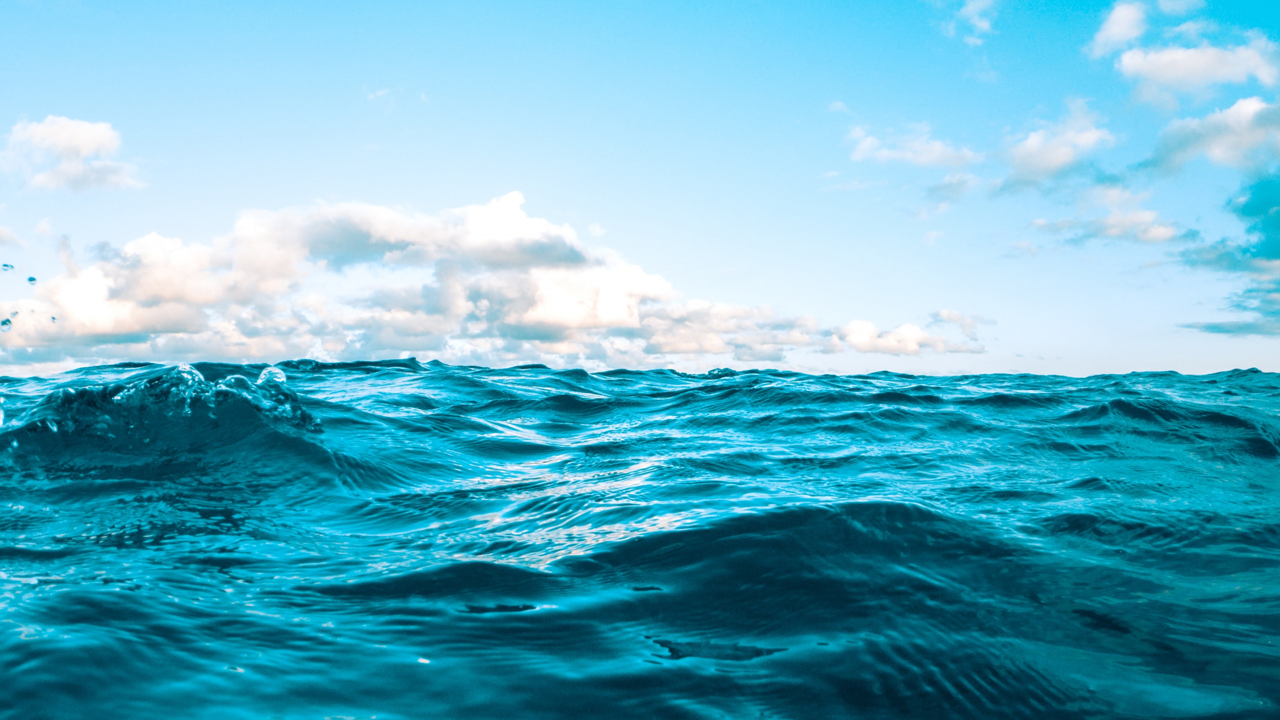 Обои синий, вода, океан, море, горизонт в разрешении 2560x1440