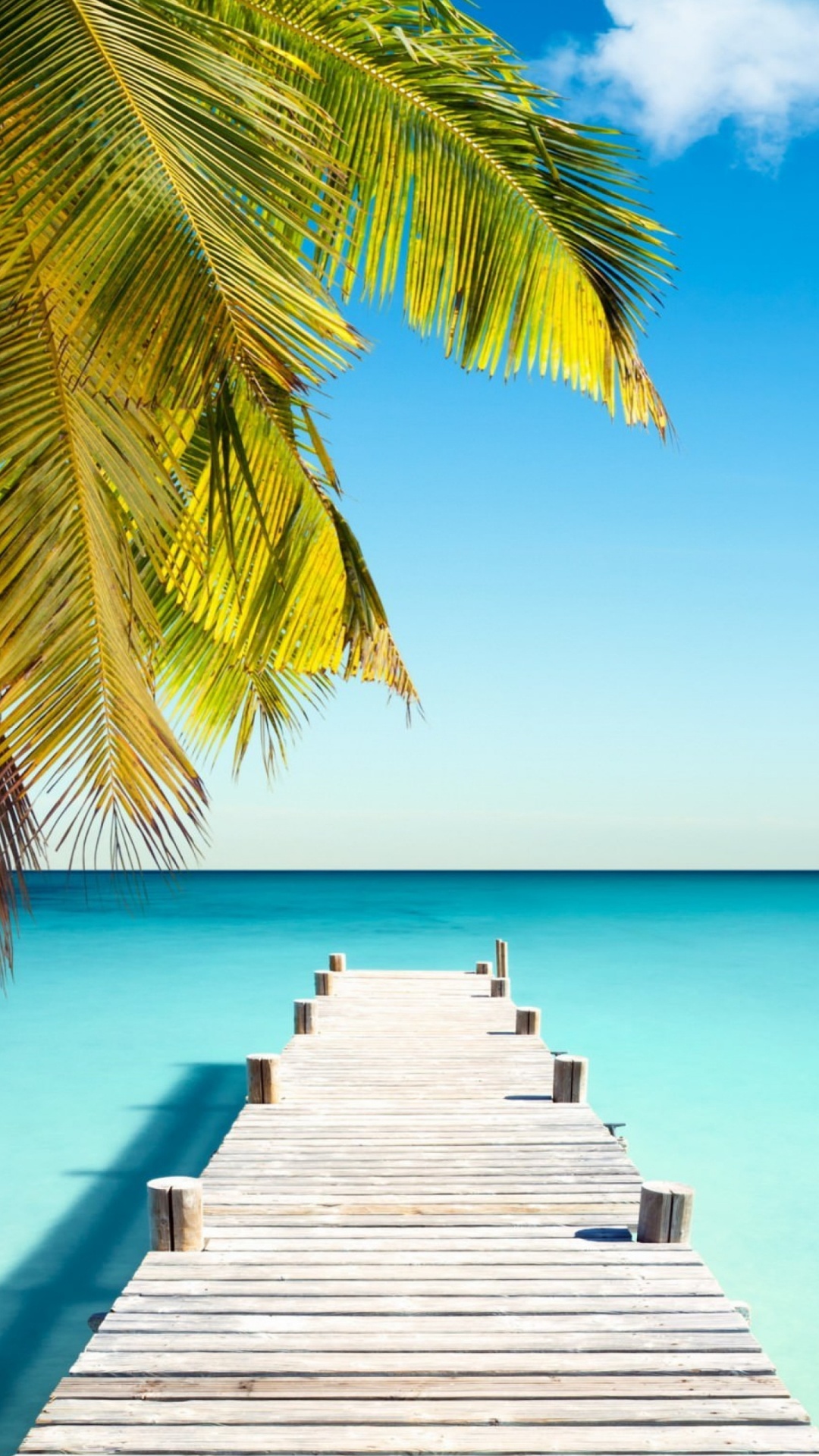 Обои тропическая зона, море, Карибский бассейн, отпуск, океан в разрешении 1080x1920