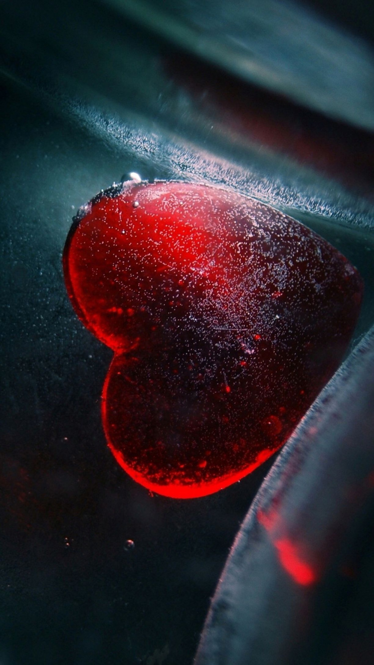 Обои красный цвет, вода, растение, космос, плоть в разрешении 750x1334
