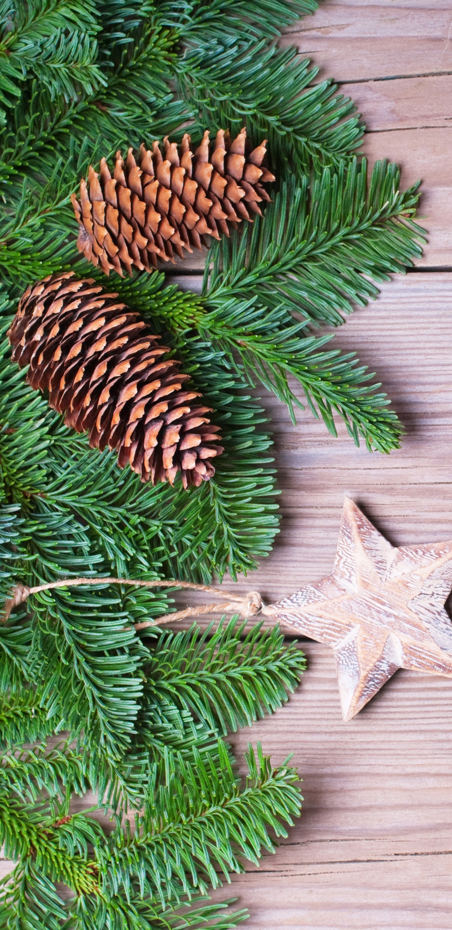 Обои Новый год, Рождественский день, праздник, дерево, ветвь в разрешении 1440x2960