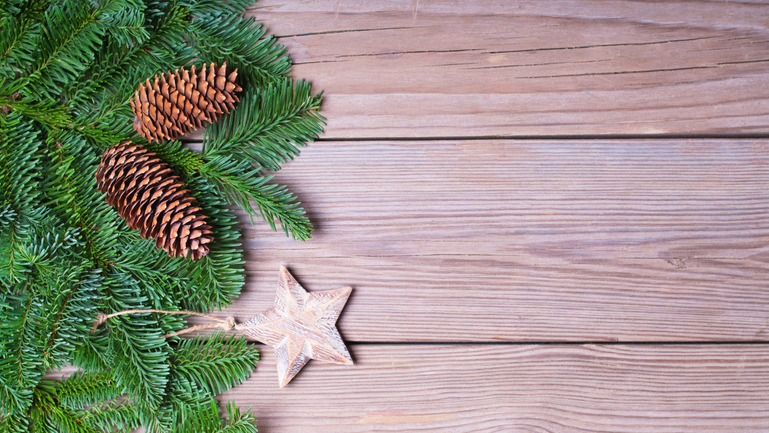 Обои Новый год, Рождественский день, праздник, дерево, ветвь в разрешении 2560x1440