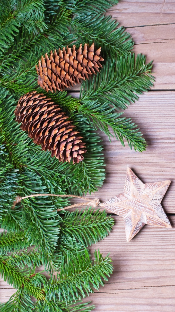 Обои Новый год, Рождественский день, праздник, дерево, ветвь в разрешении 720x1280