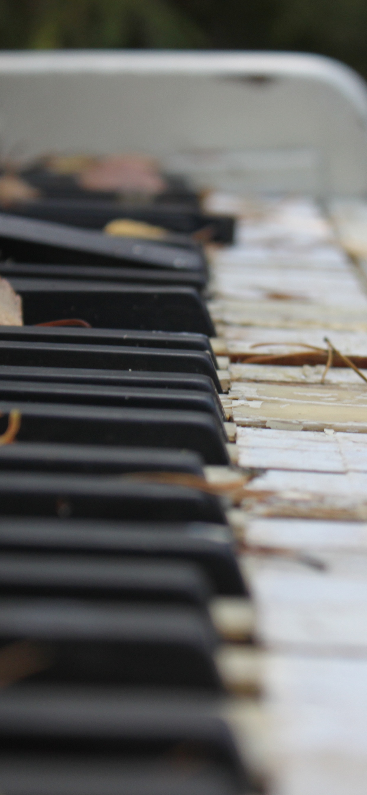 Обои фортепьяно, клавиатура, музыкальный инструмент, синтезатор, технологии в разрешении 1242x2688