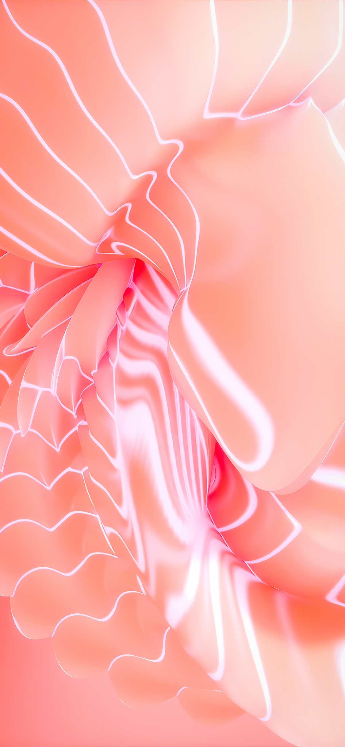 Обои цветок, математика, ткань, лепесток, рукав в разрешении 1125x2436