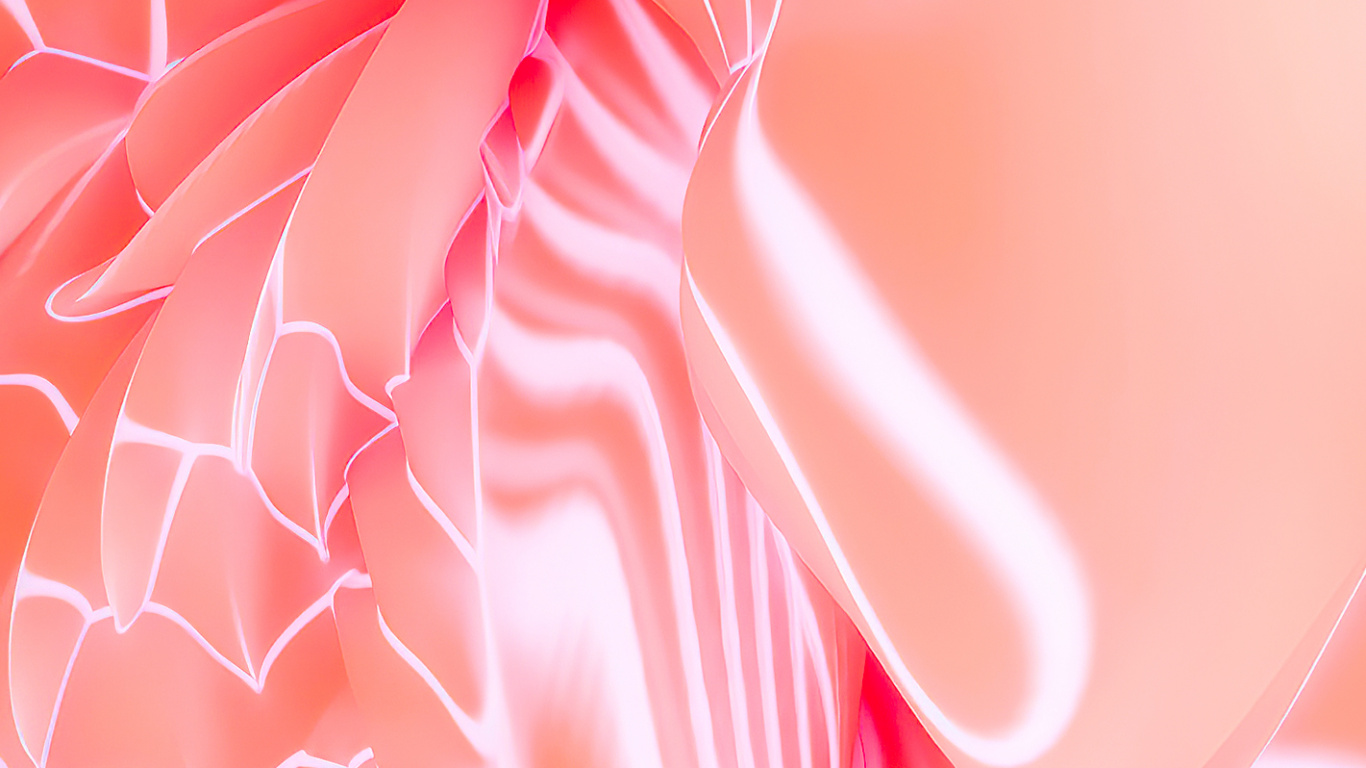 Обои цветок, математика, ткань, лепесток, рукав в разрешении 1366x768