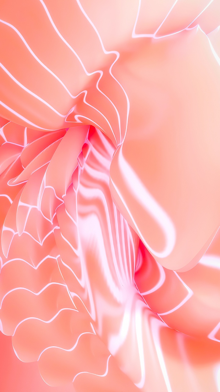 Обои цветок, математика, ткань, лепесток, рукав в разрешении 720x1280