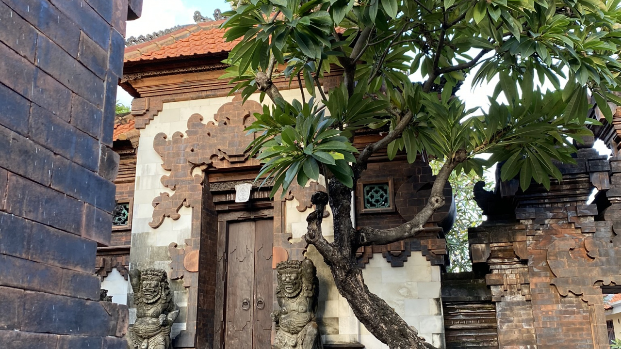 Обои дерево, древняя история, кирпич, стена, лист в разрешении 1280x720