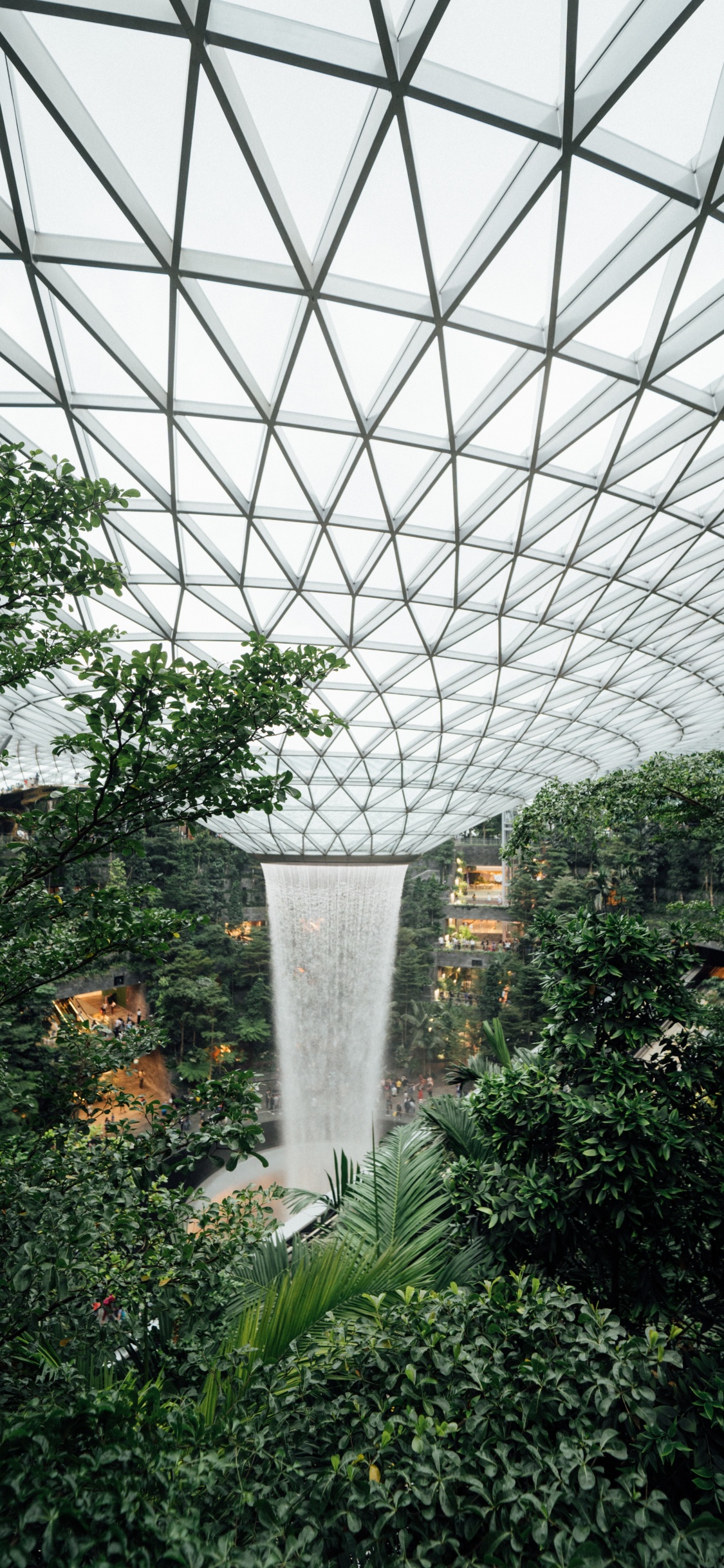 Обои теплица, сад, Ботанический сад, биом, ботаники в разрешении 1125x2436