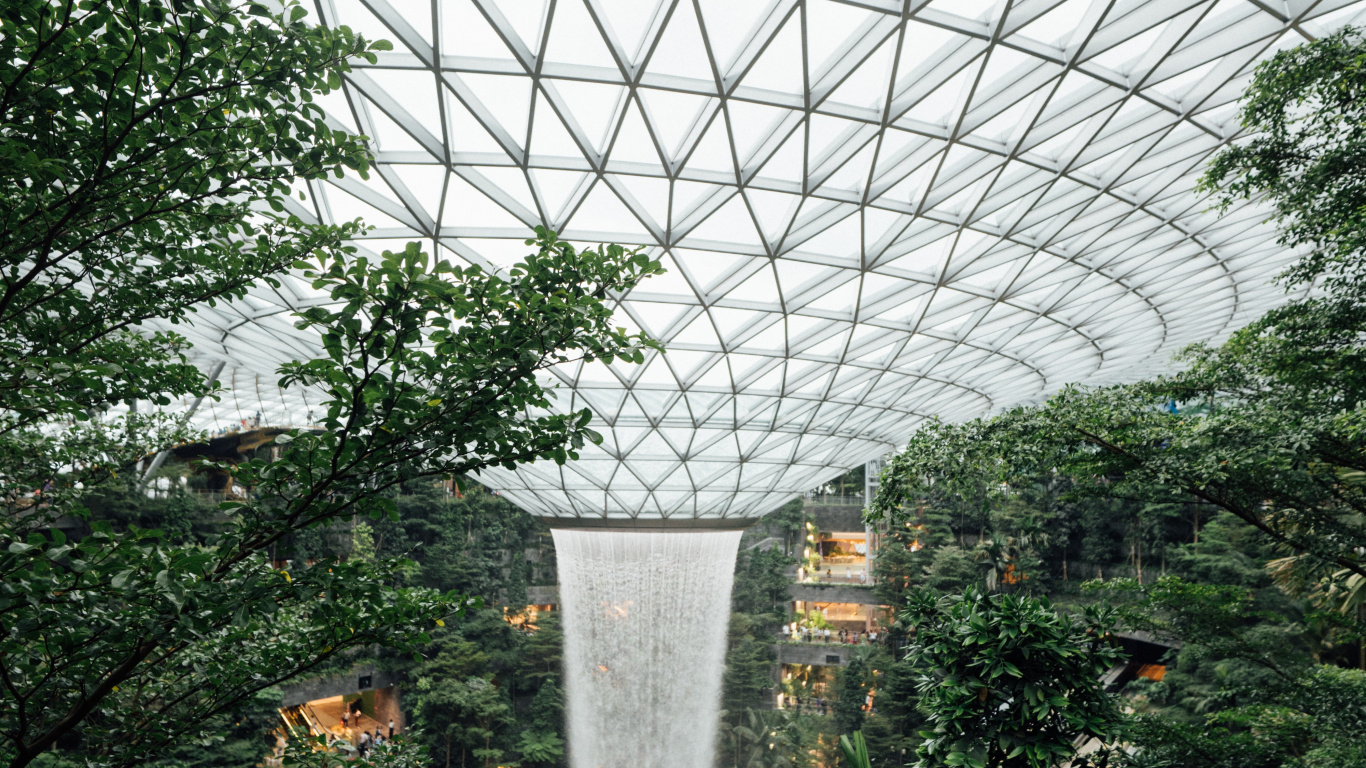 Обои теплица, сад, Ботанический сад, биом, ботаники в разрешении 1366x768