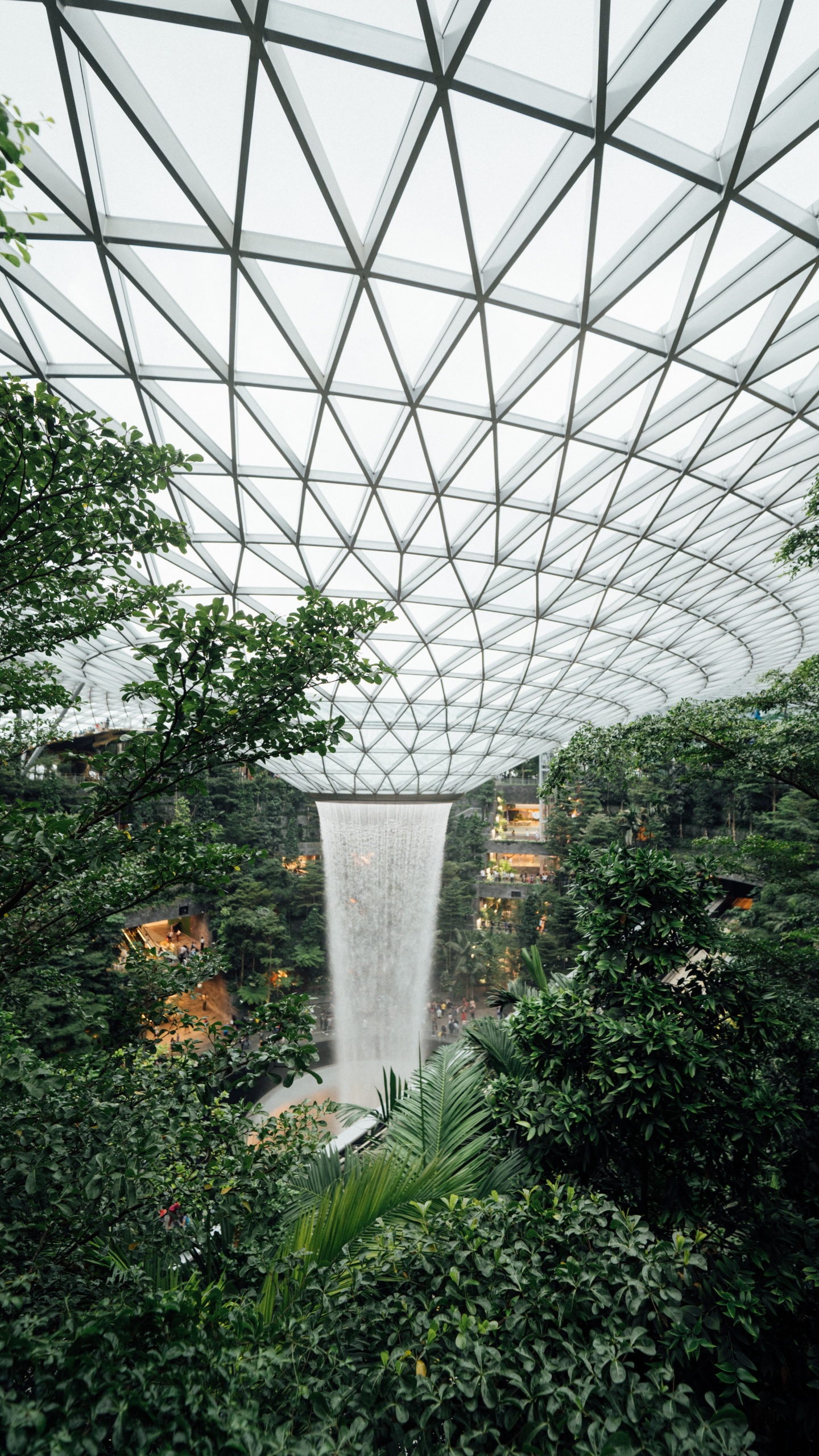 Обои теплица, сад, Ботанический сад, биом, ботаники в разрешении 1440x2560