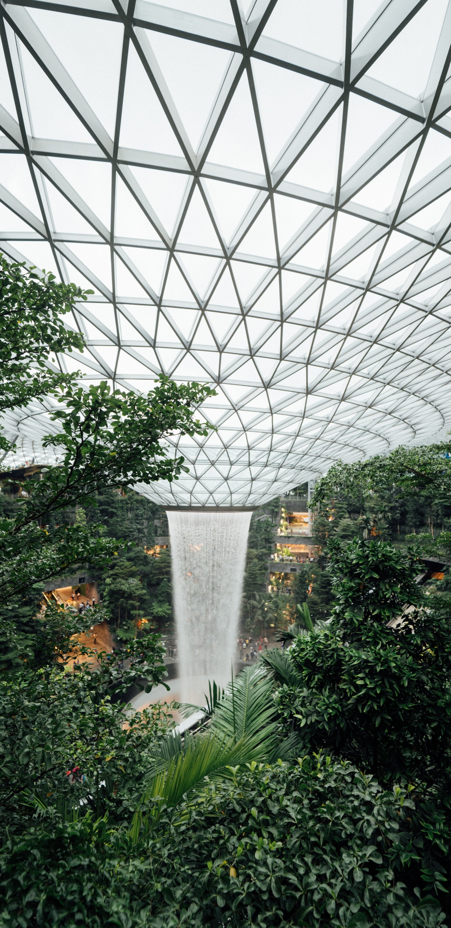 Обои теплица, сад, Ботанический сад, биом, ботаники в разрешении 1440x2960