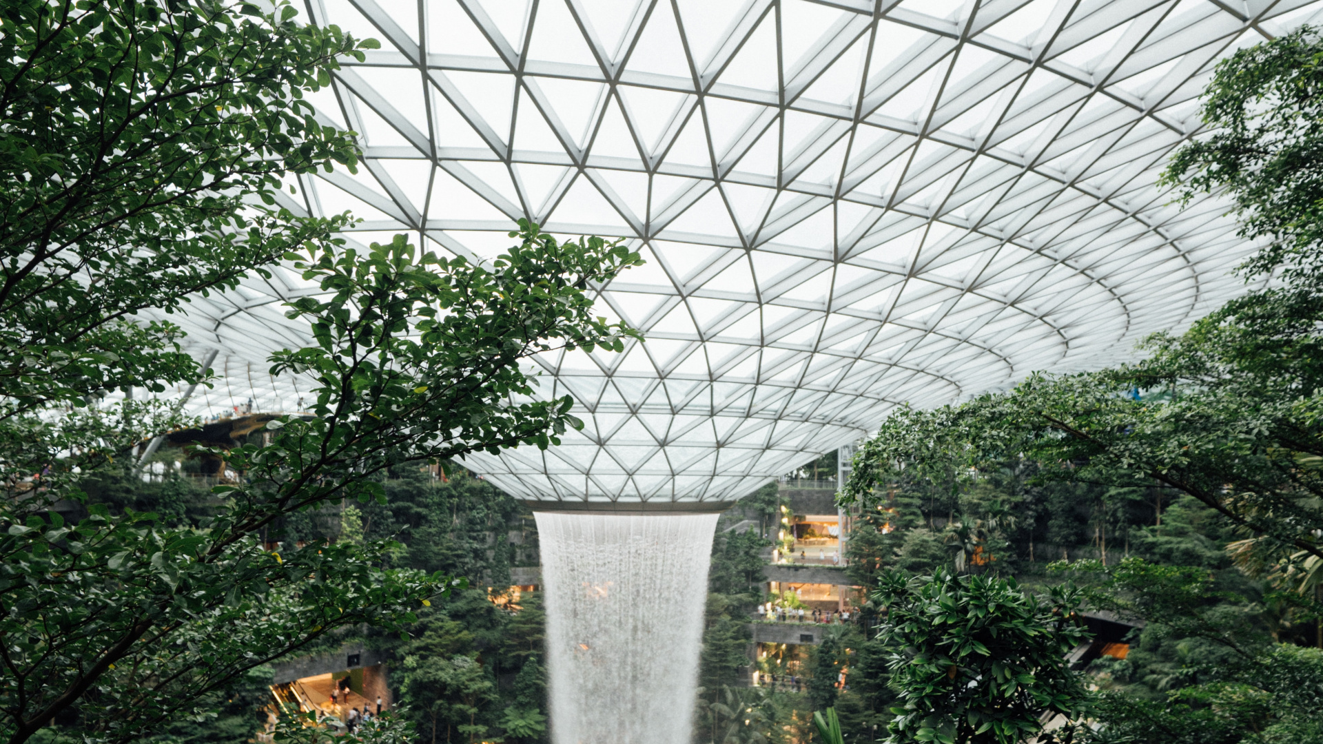 Обои теплица, сад, Ботанический сад, биом, ботаники в разрешении 1920x1080