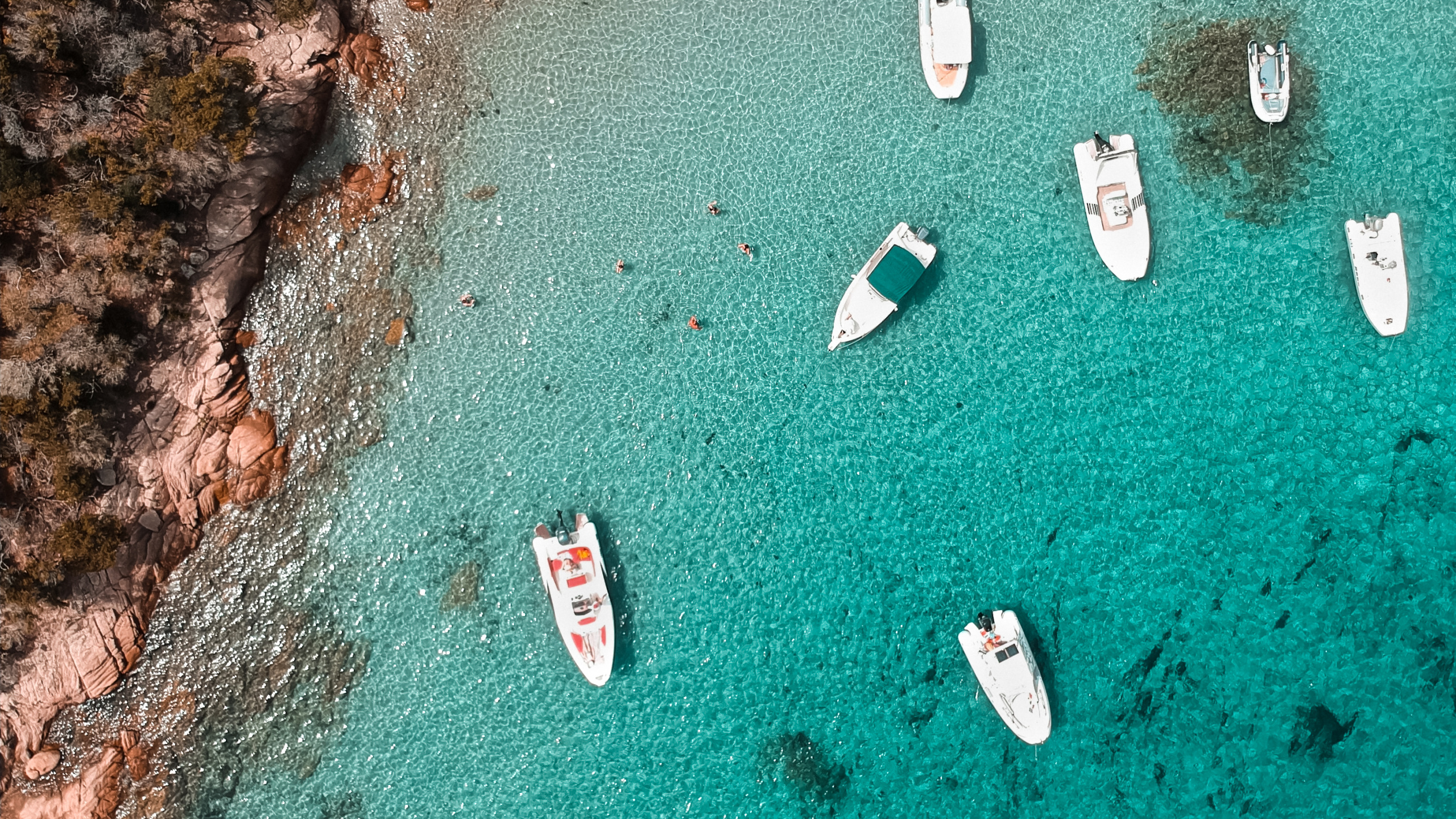 Обои вода, море, биология, морская биология, наука в разрешении 2560x1440