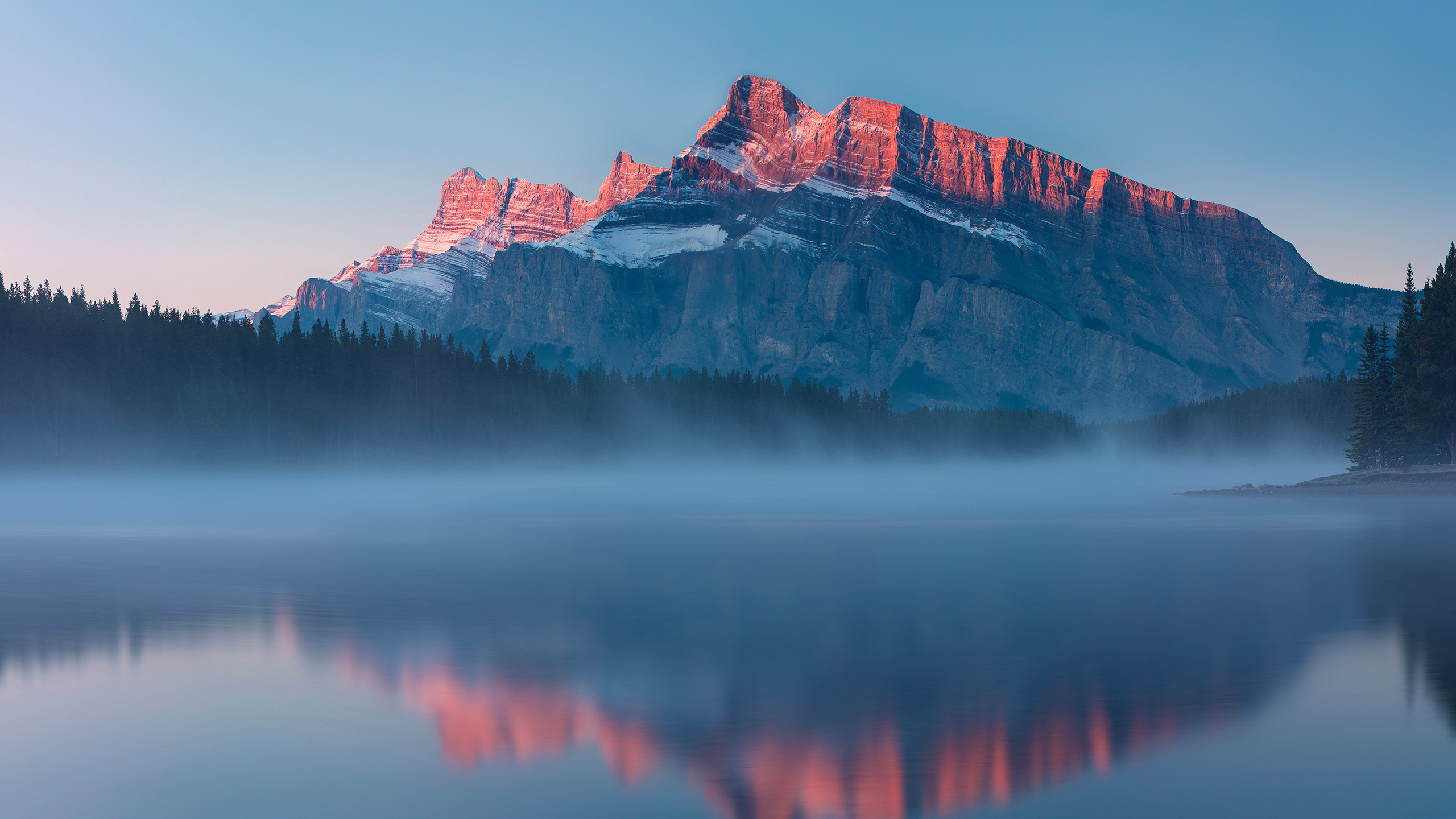 Обои отражение, банфф, вода, гидроресурсы, атмосфера в разрешении 2560x1440