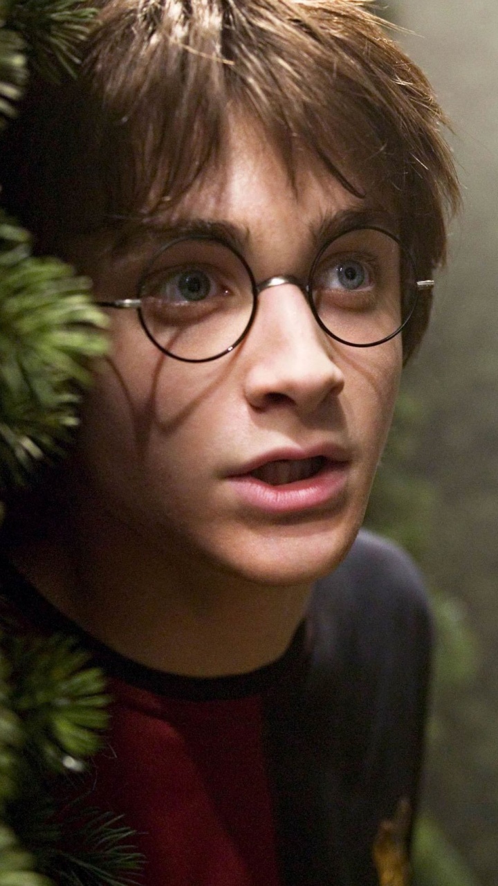 Обои Гарри Поттер, Дэниел Редклифф, человек, очки, фильм в разрешении 720x1280