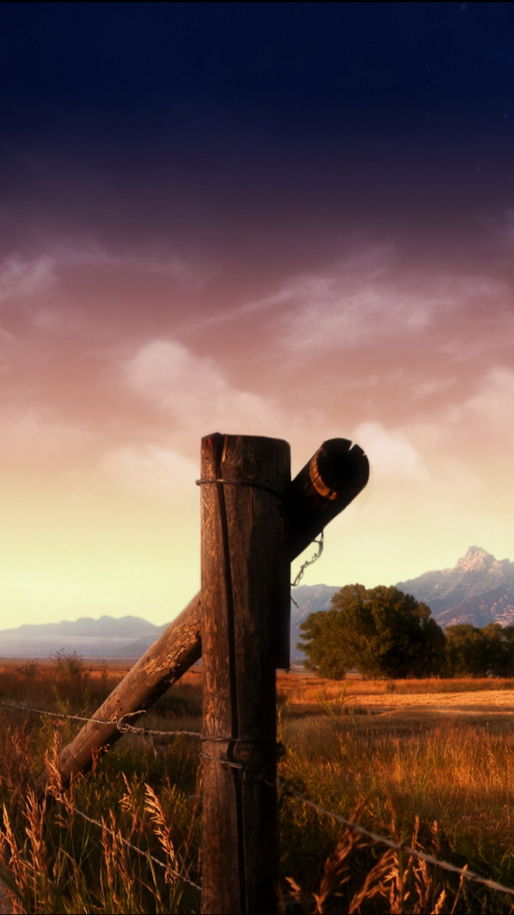 Обои облако, дерево, атмосфера, пейзаж, сельский район в разрешении 750x1334