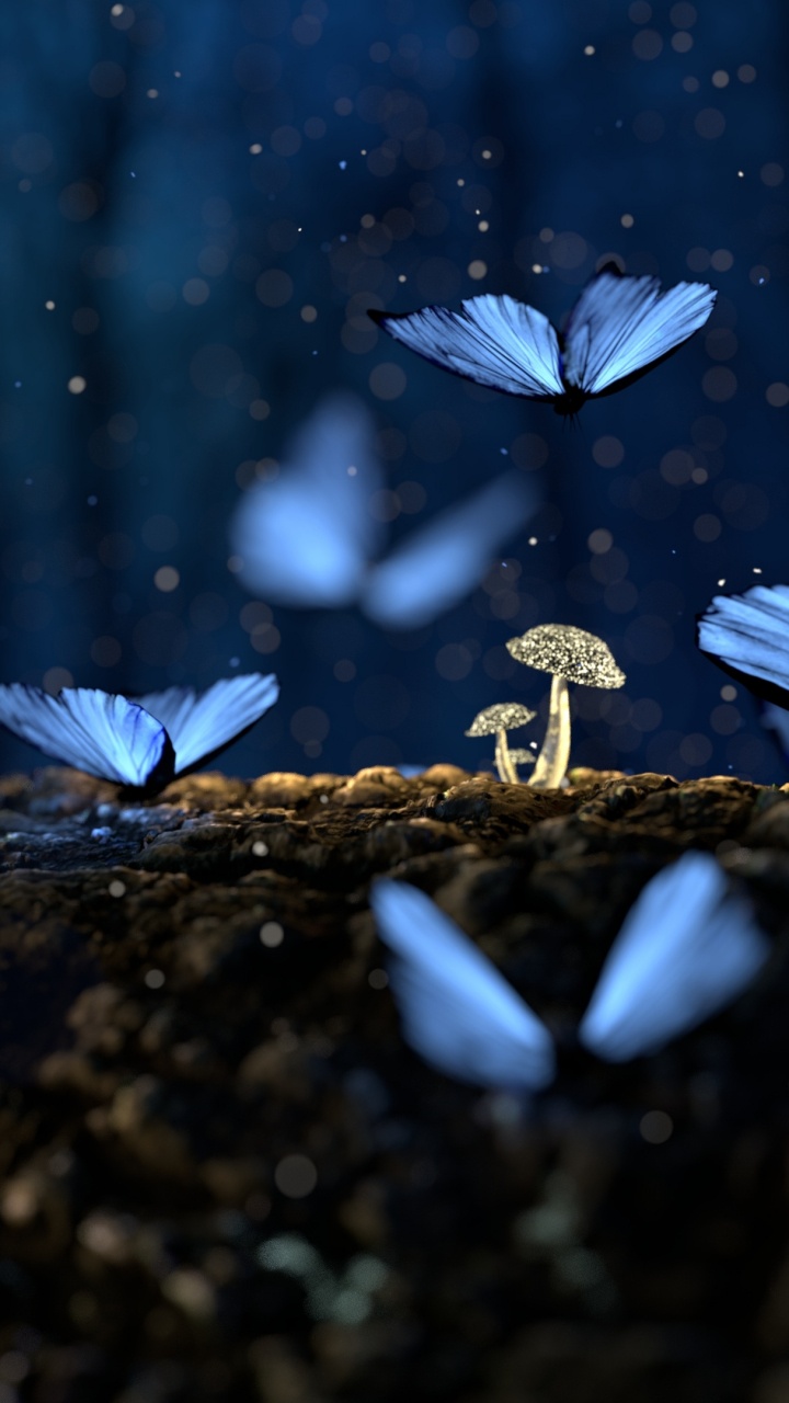 Обои синий, бабочка, природа, насекомое, мотыльки и бабочки в разрешении 720x1280