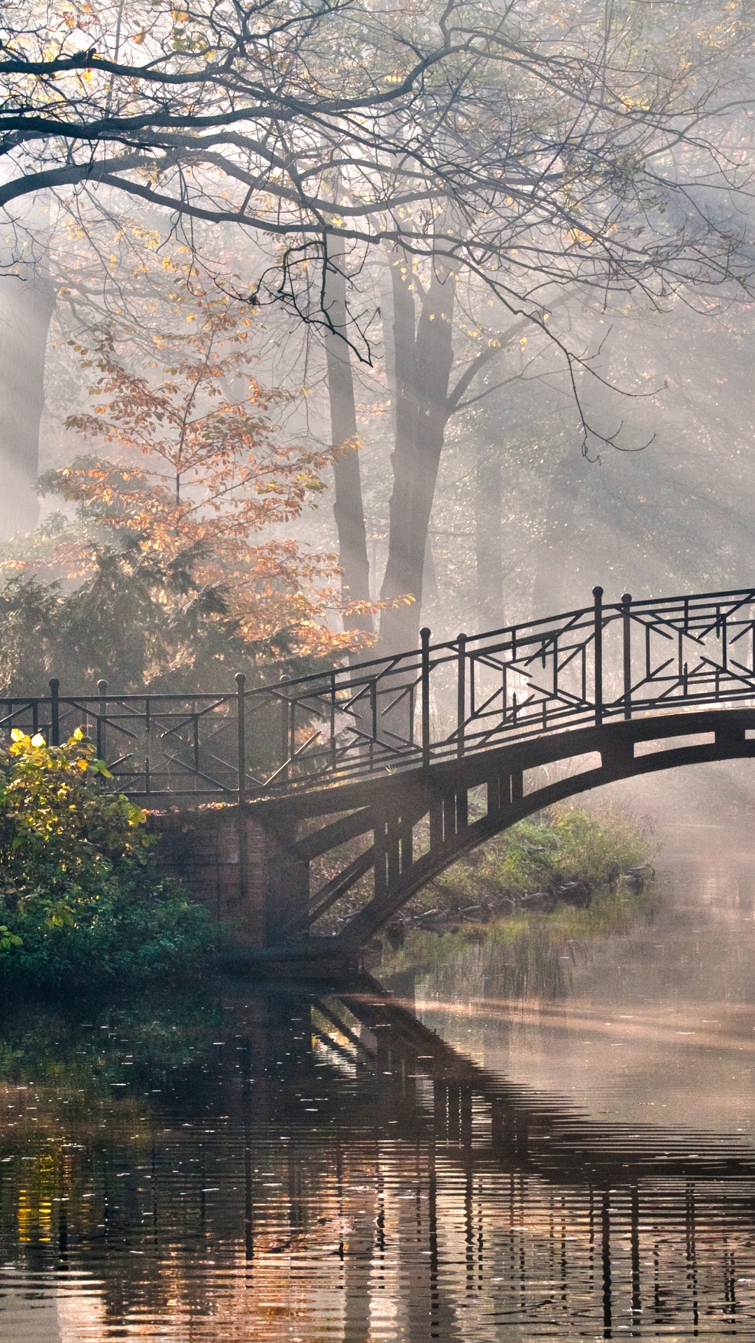 Обои мост, дерево, природа, отражение, вода в разрешении 1080x1920